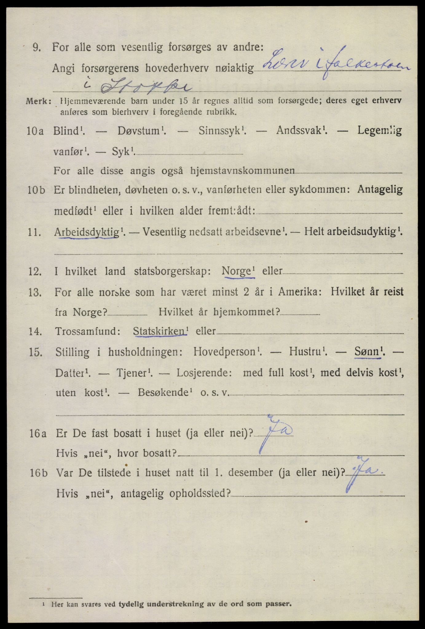 SAKO, 1920 census for Stokke, 1920, p. 2043