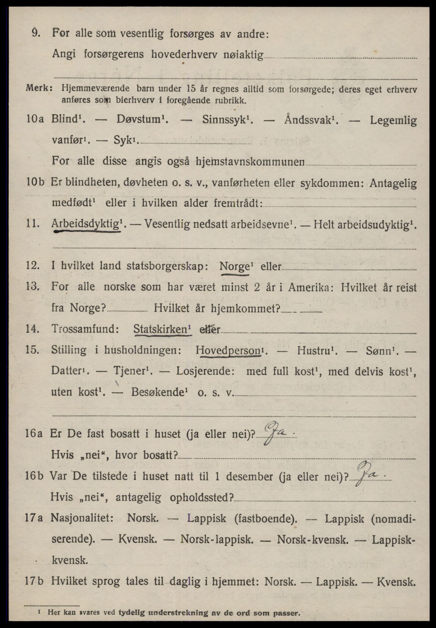 SAT, 1920 census for Budal, 1920, p. 207