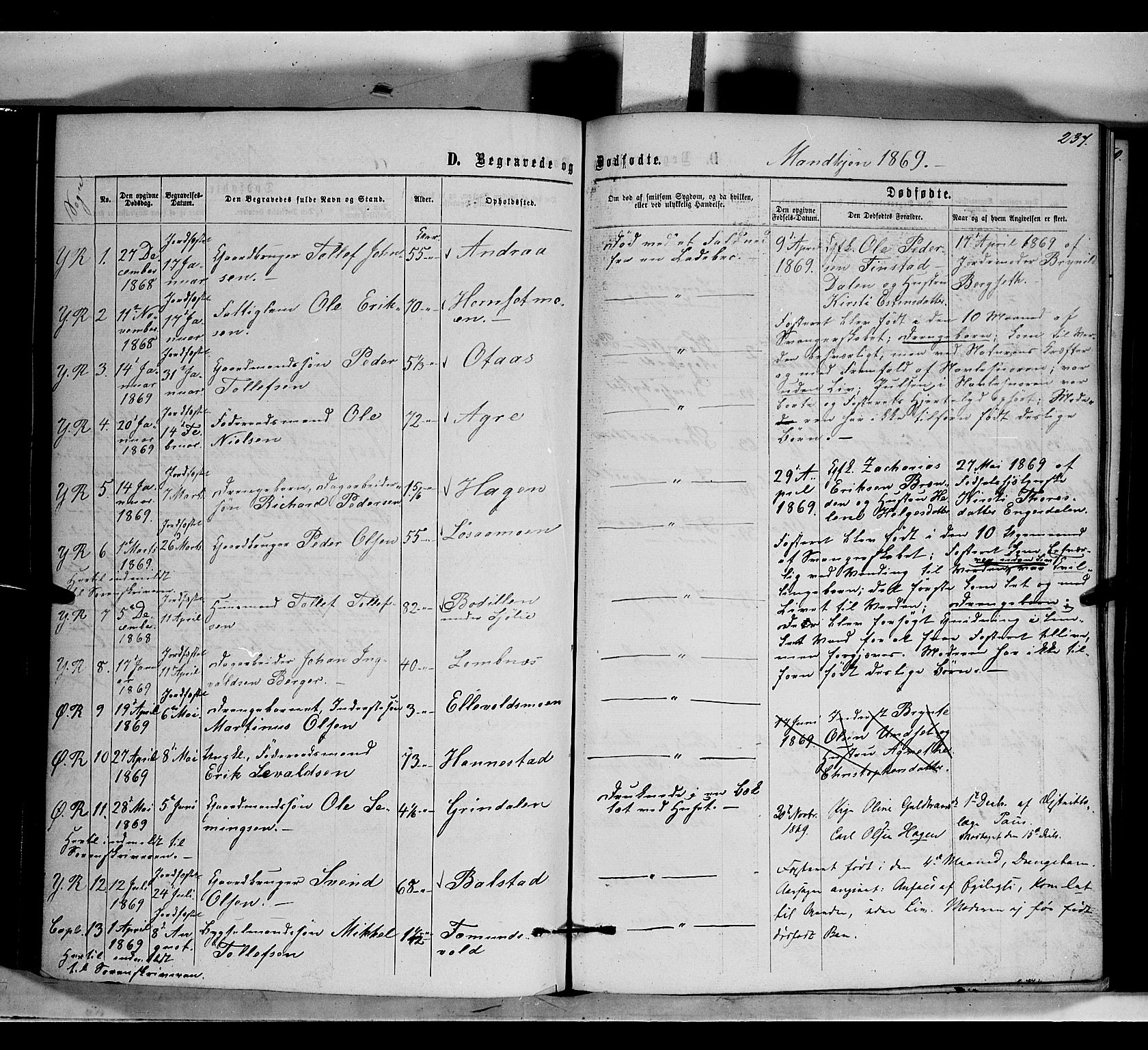 Rendalen prestekontor, AV/SAH-PREST-054/H/Ha/Haa/L0006: Parish register (official) no. 6, 1867-1877, p. 237