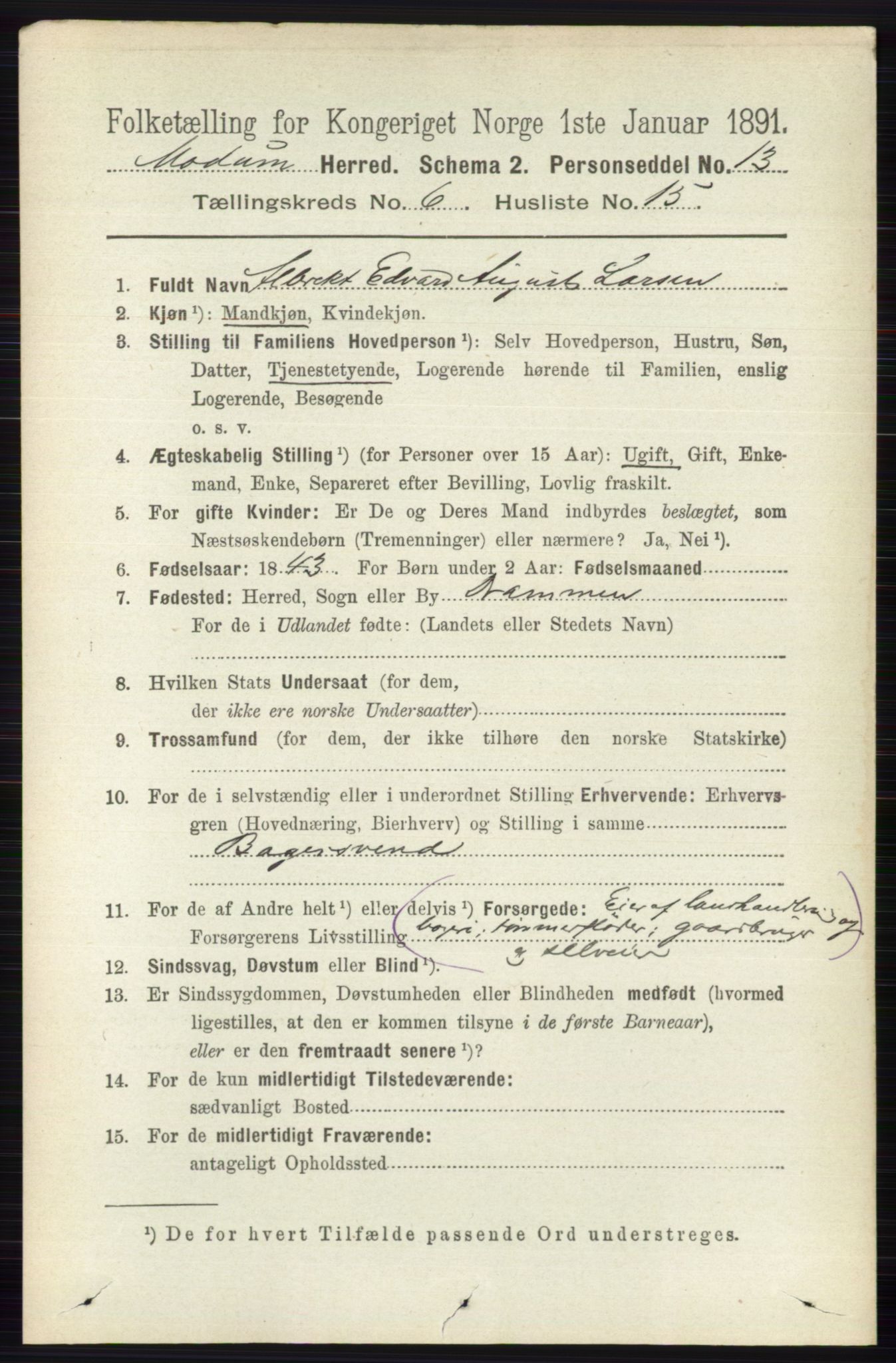 RA, 1891 census for 0623 Modum, 1891, p. 2247