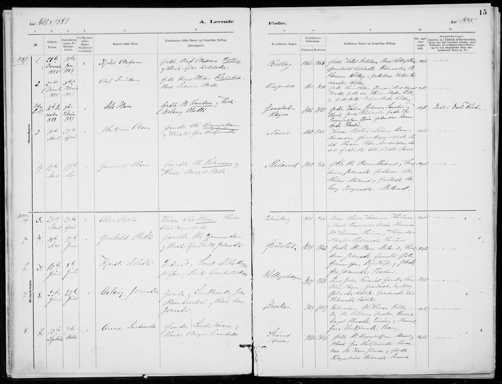 Tinn kirkebøker, SAKO/A-308/F/Fb/L0002: Parish register (official) no. II 2, 1878-1917, p. 15