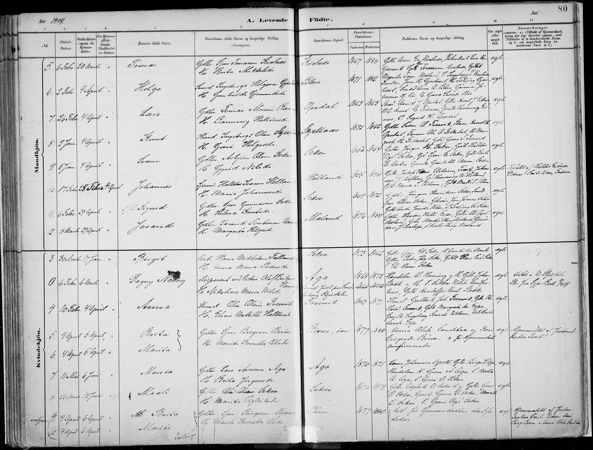 Ullensvang sokneprestembete, SAB/A-78701/H/Haa: Parish register (official) no. B  1, 1882-1918, p. 80