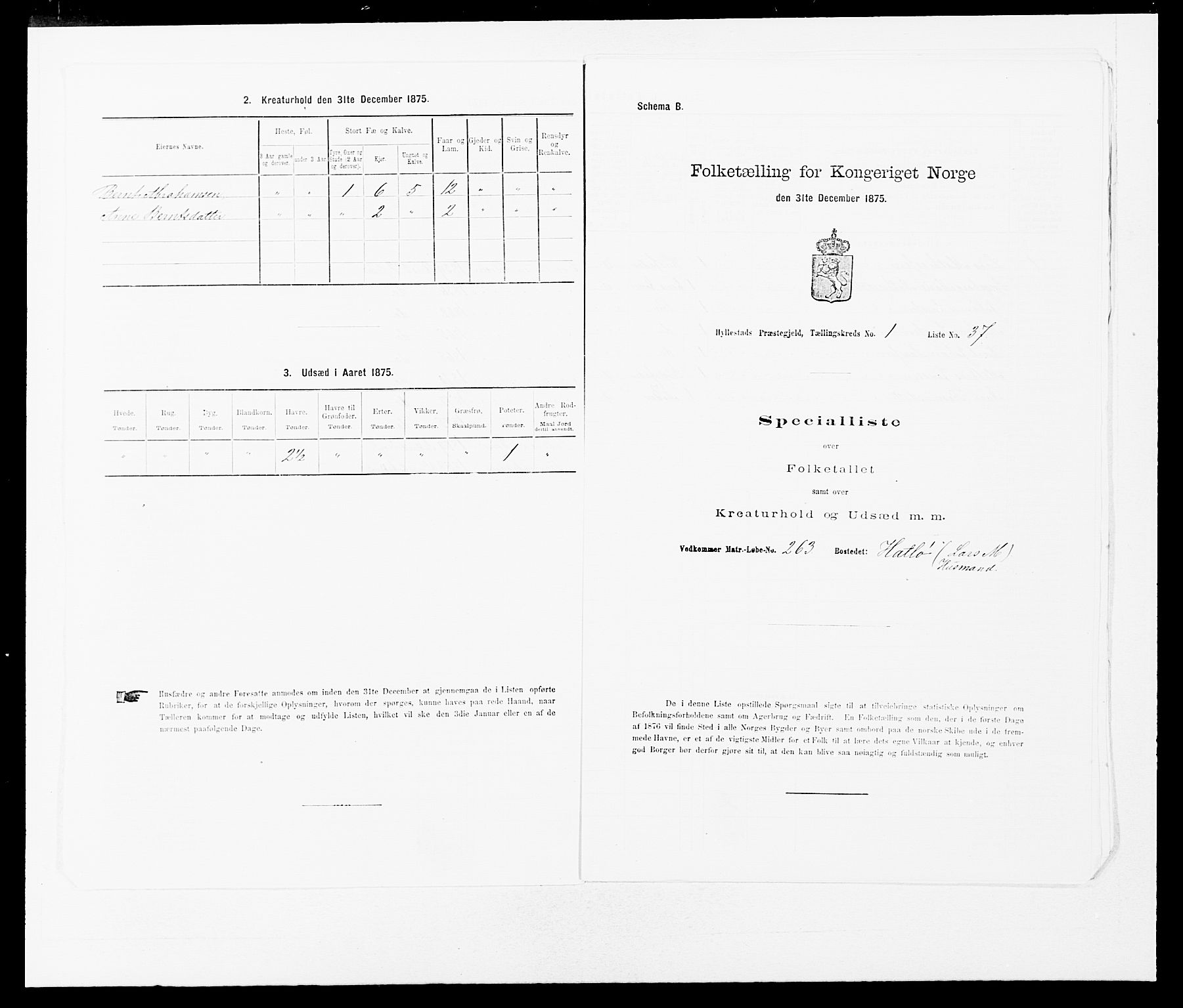 SAB, 1875 census for 1413P Hyllestad, 1875, p. 105