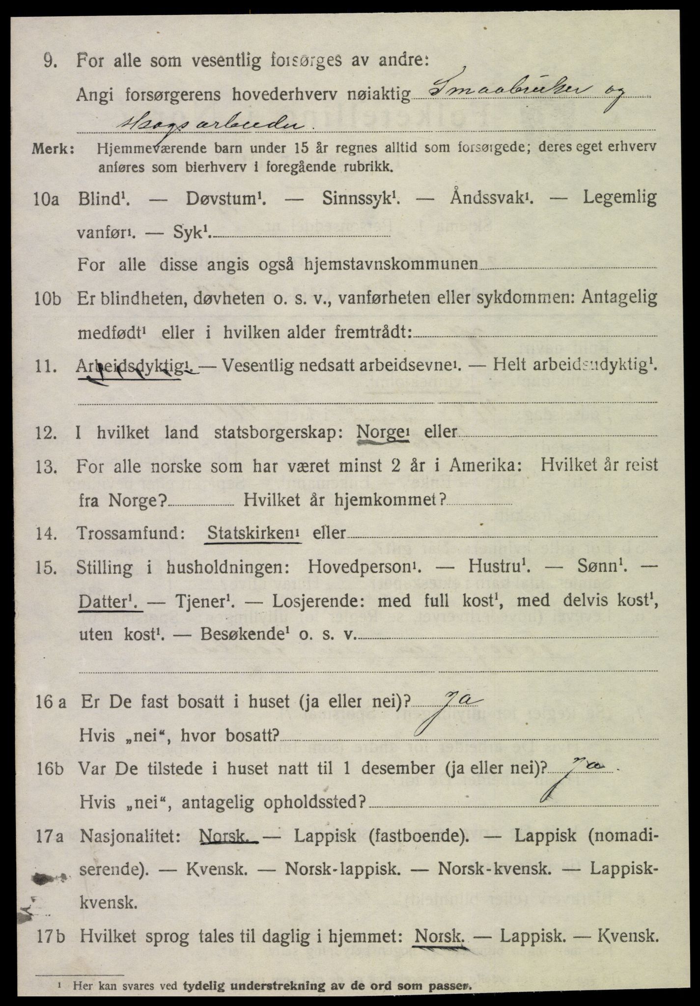 SAT, 1920 census for Selbu, 1920, p. 10207