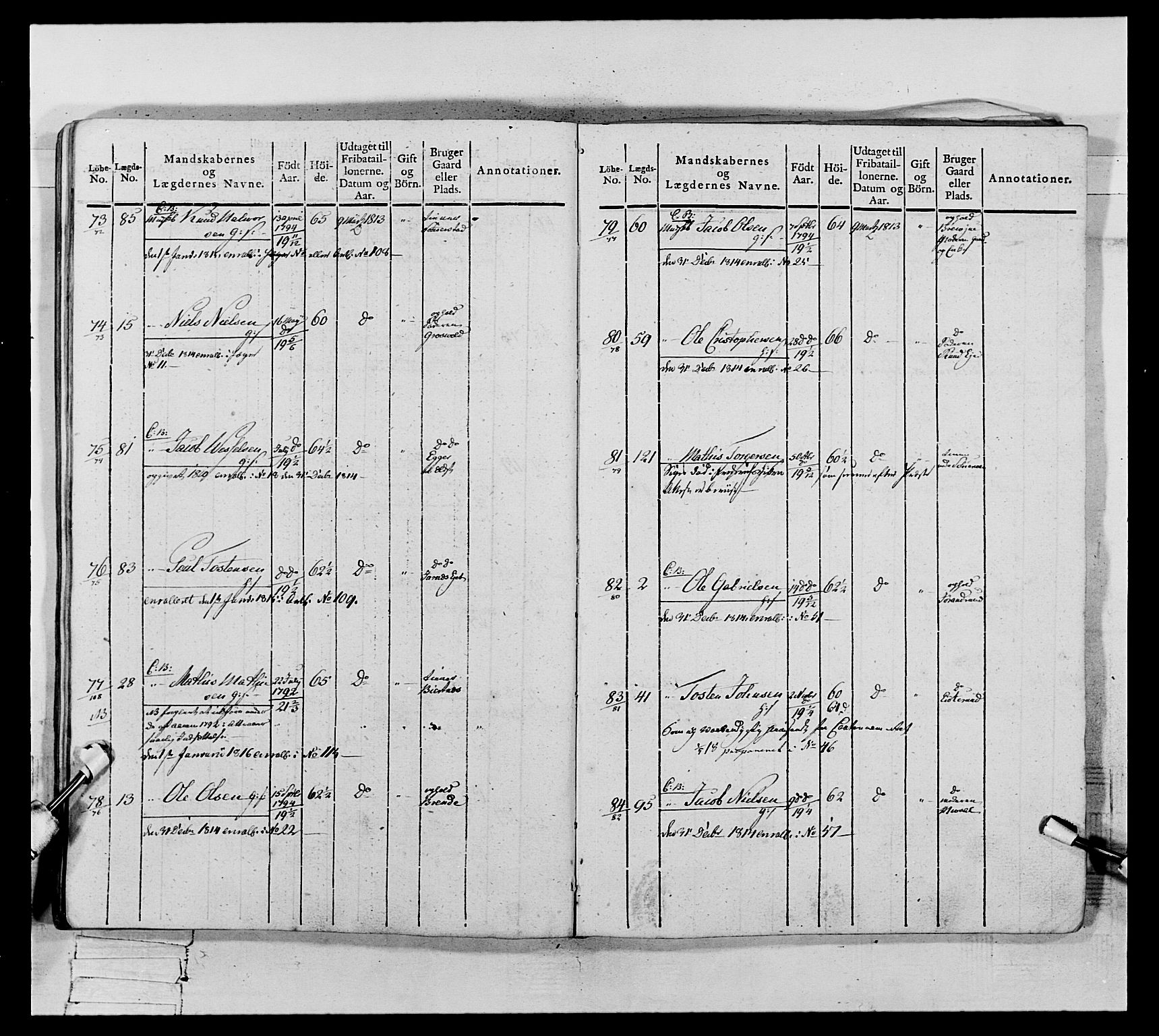 Generalitets- og kommissariatskollegiet, Det kongelige norske kommissariatskollegium, RA/EA-5420/E/Eh/L0117: Telemarkske nasjonale infanteriregiment, 1812-1814, p. 480