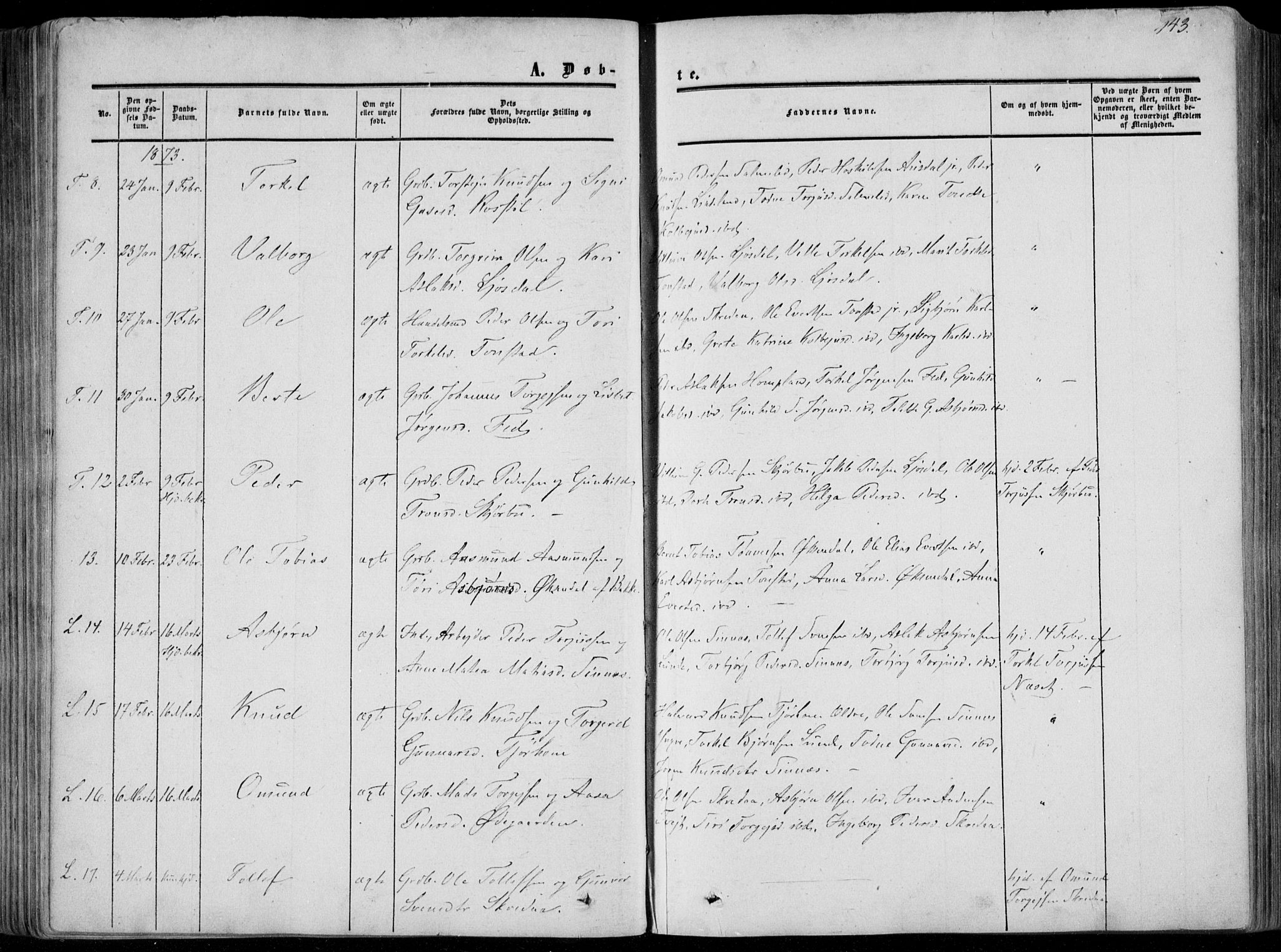 Sirdal sokneprestkontor, AV/SAK-1111-0036/F/Fa/Fab/L0002: Parish register (official) no. A 2, 1855-1874, p. 143