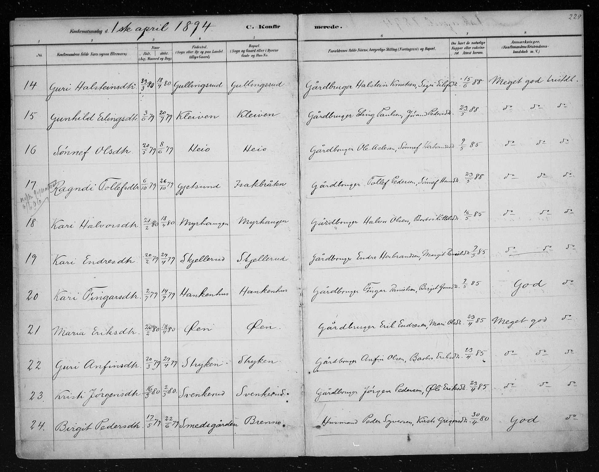 Nes kirkebøker, AV/SAKO-A-236/F/Fa/L0011: Parish register (official) no. 11, 1881-1912, p. 229