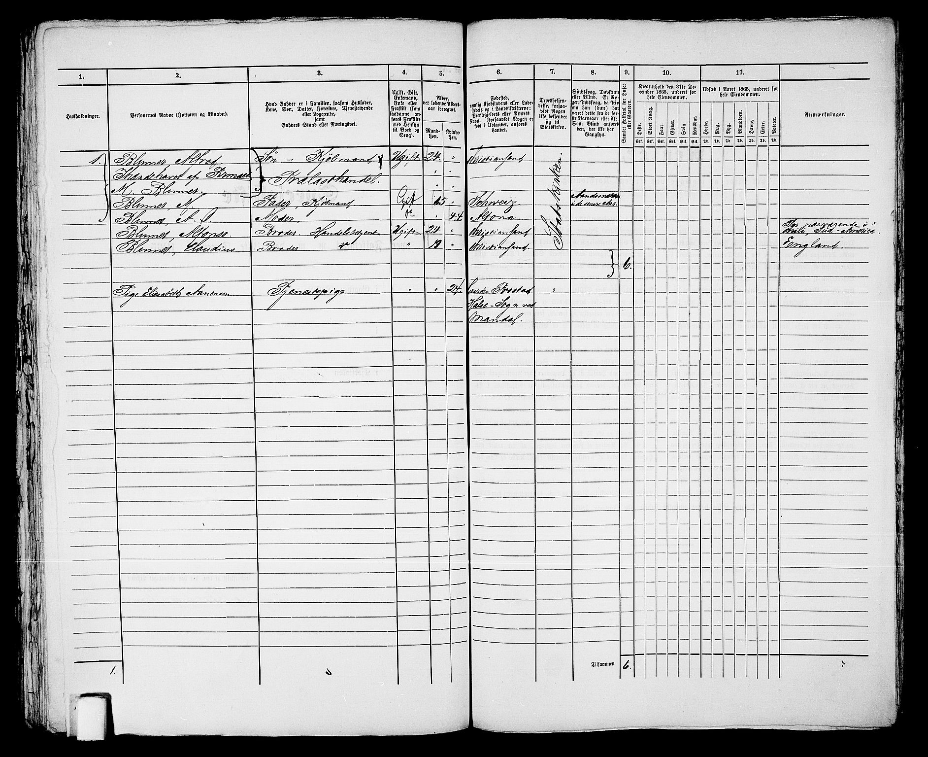 RA, 1865 census for Kristiansand, 1865, p. 1500