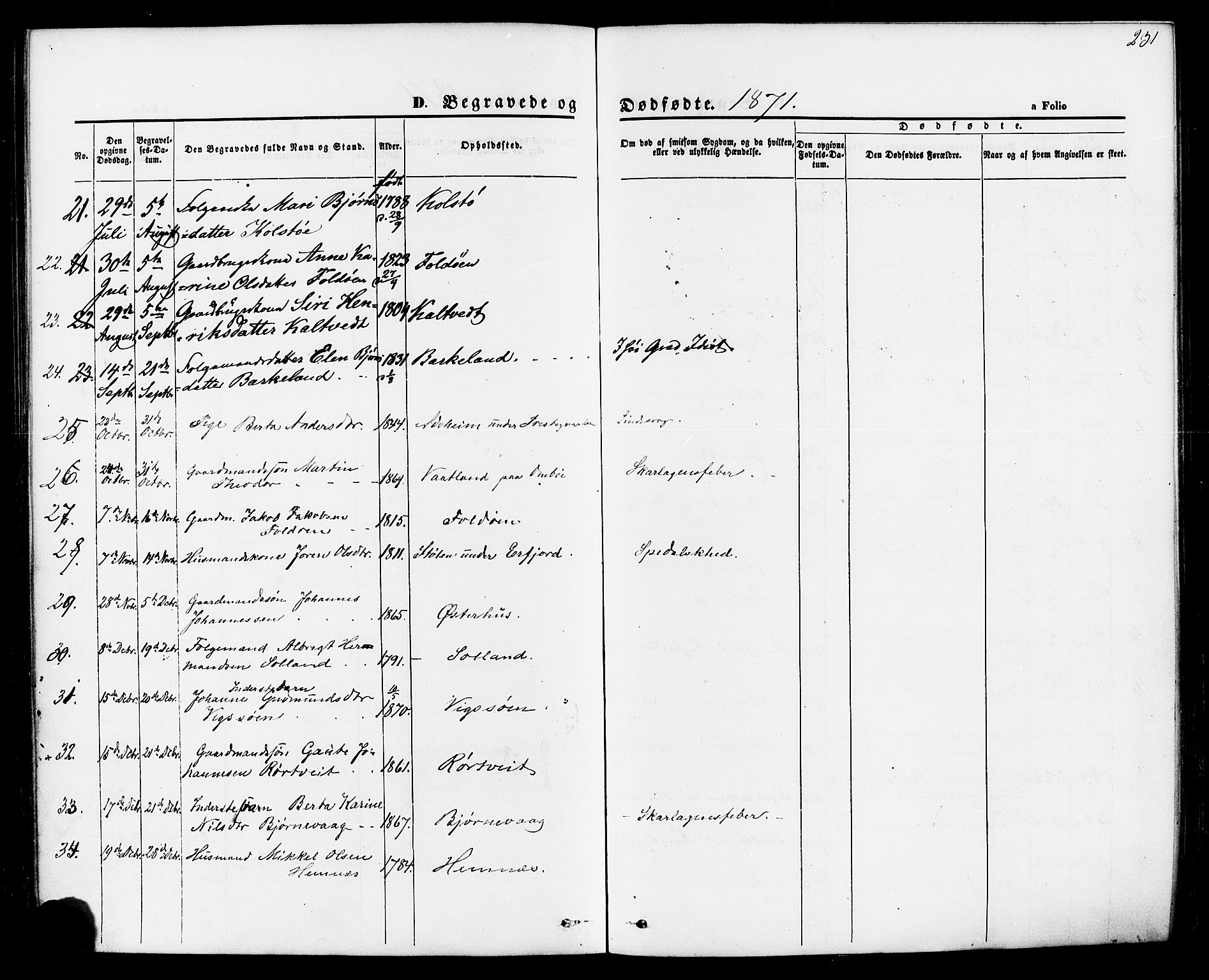 Jelsa sokneprestkontor, AV/SAST-A-101842/01/IV: Parish register (official) no. A 8, 1867-1883, p. 231