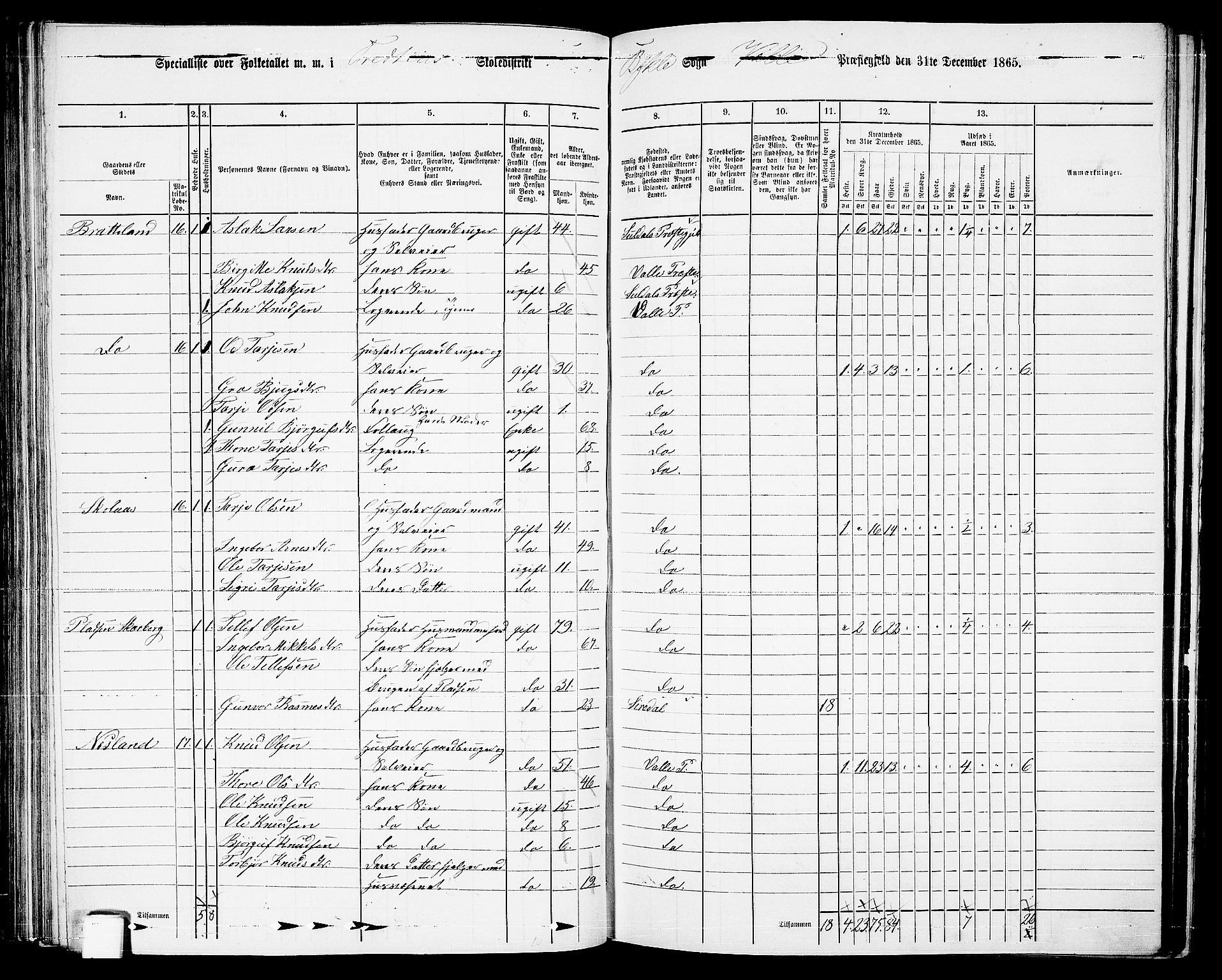 RA, 1865 census for Valle, 1865, p. 93