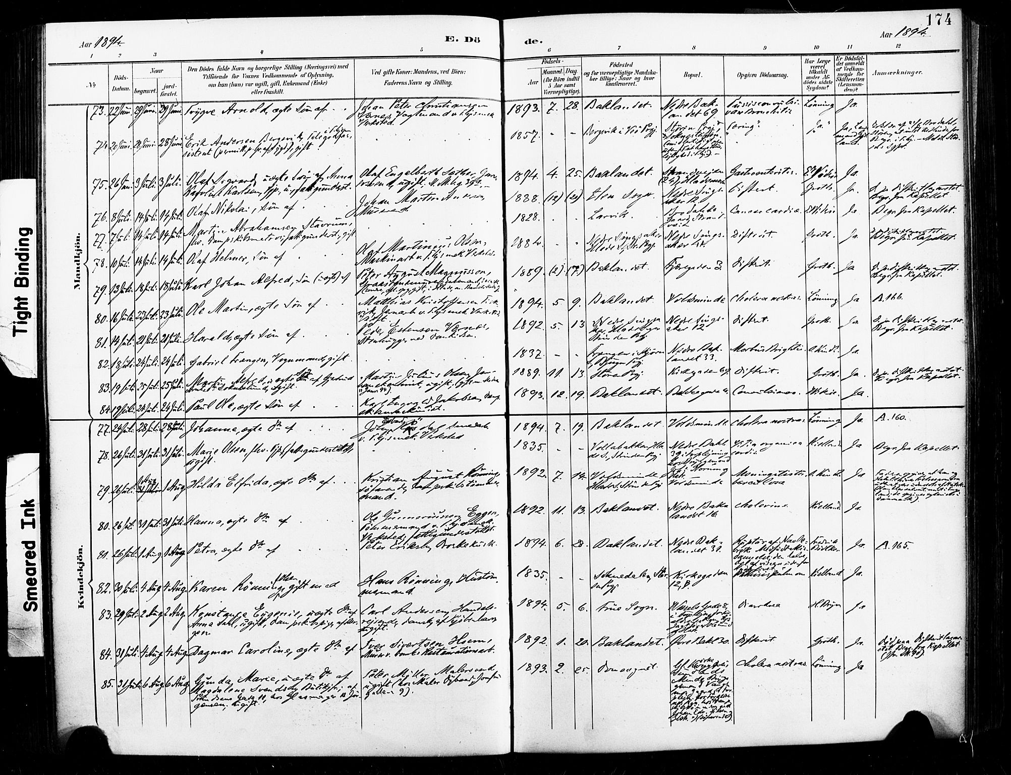 Ministerialprotokoller, klokkerbøker og fødselsregistre - Sør-Trøndelag, AV/SAT-A-1456/604/L0198: Parish register (official) no. 604A19, 1893-1900, p. 174