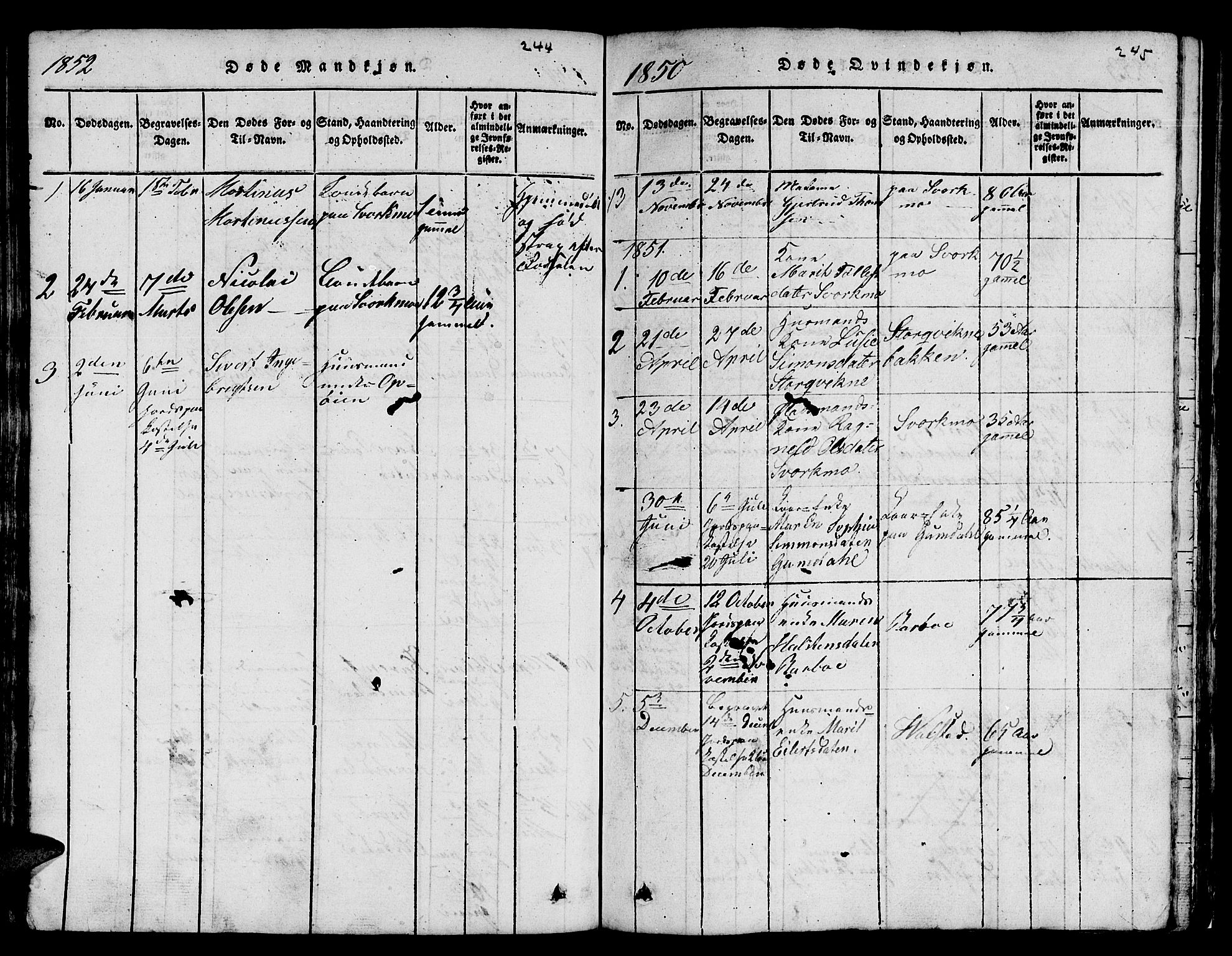 Ministerialprotokoller, klokkerbøker og fødselsregistre - Sør-Trøndelag, AV/SAT-A-1456/671/L0842: Parish register (copy) no. 671C01, 1816-1867, p. 244-245