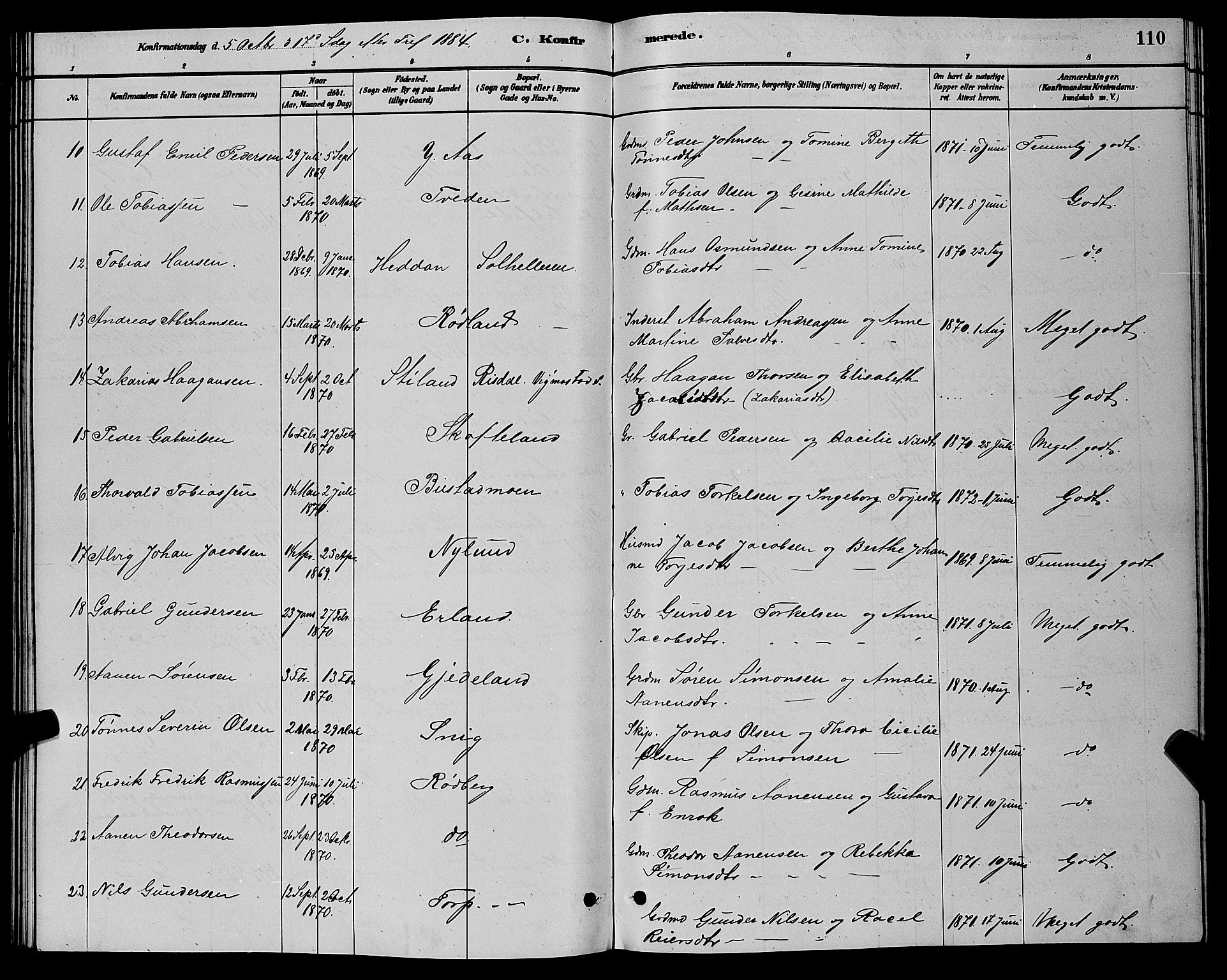 Sør-Audnedal sokneprestkontor, AV/SAK-1111-0039/F/Fb/Fbb/L0005: Parish register (copy) no. B 5, 1880-1892, p. 110