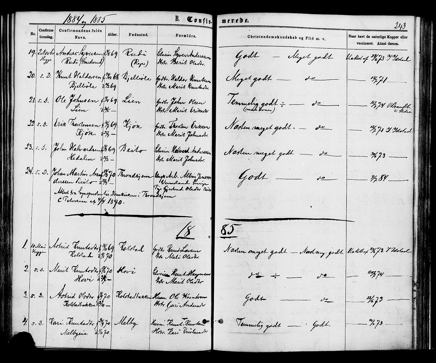Øystre Slidre prestekontor, SAH/PREST-138/H/Ha/Haa/L0002: Parish register (official) no. 2, 1874-1886, p. 243