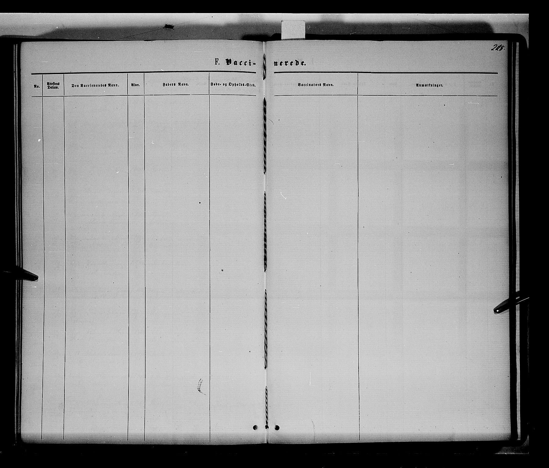 Nord-Odal prestekontor, AV/SAH-PREST-032/H/Ha/Haa/L0004: Parish register (official) no. 4, 1866-1873, p. 228