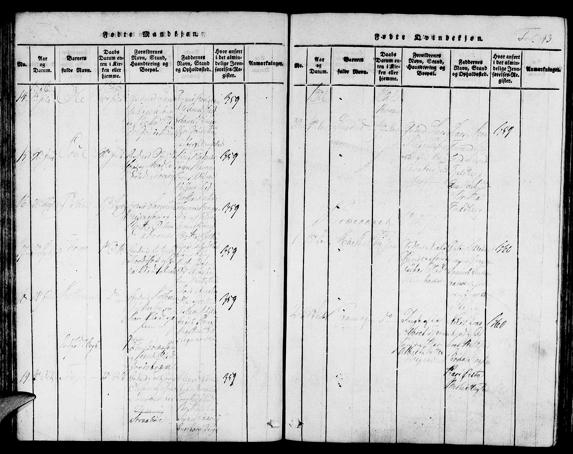 Suldal sokneprestkontor, SAST/A-101845/01/IV/L0006: Parish register (official) no. A 6, 1816-1836, p. 43