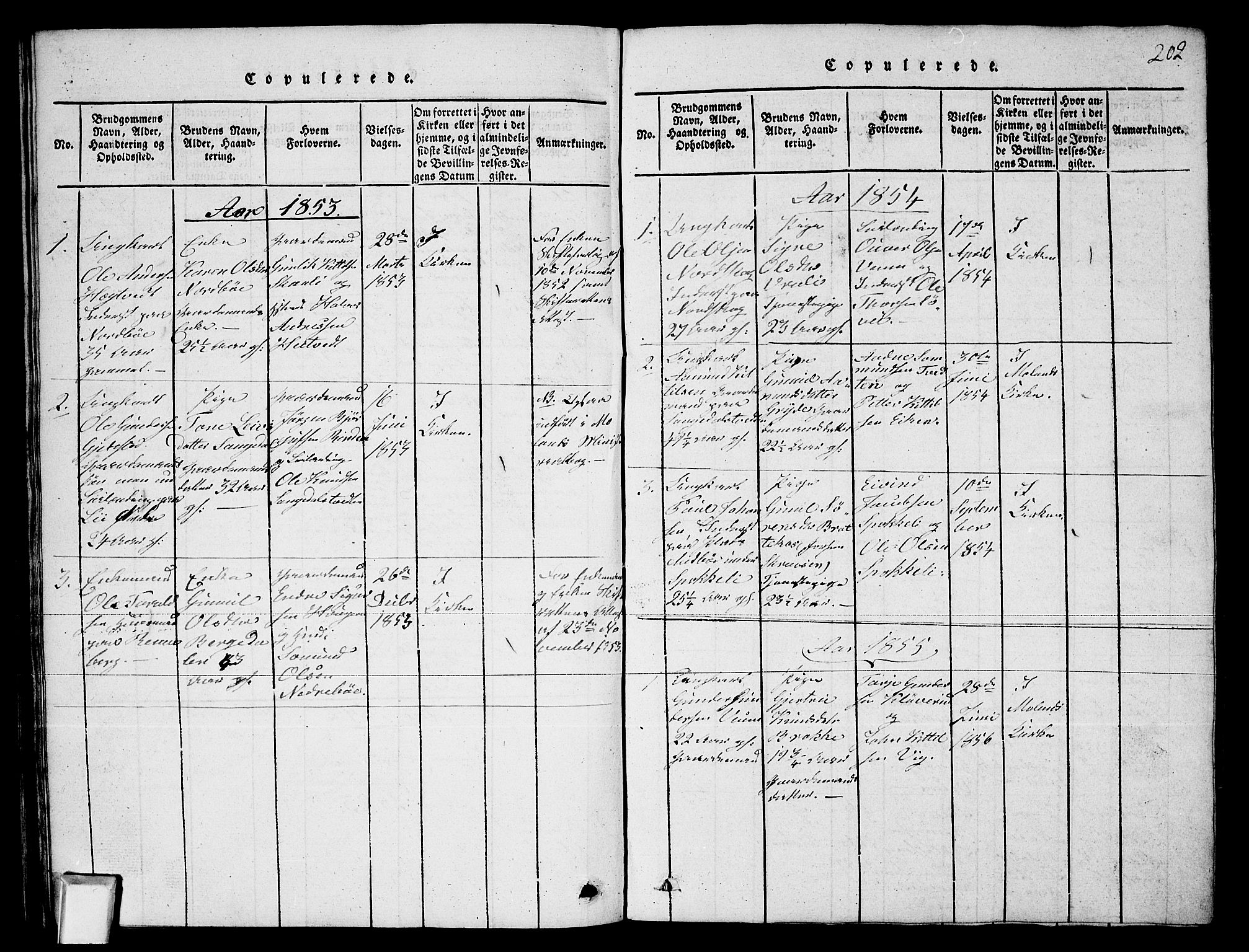 Fyresdal kirkebøker, SAKO/A-263/G/Ga/L0003: Parish register (copy) no. I 3, 1815-1863, p. 202