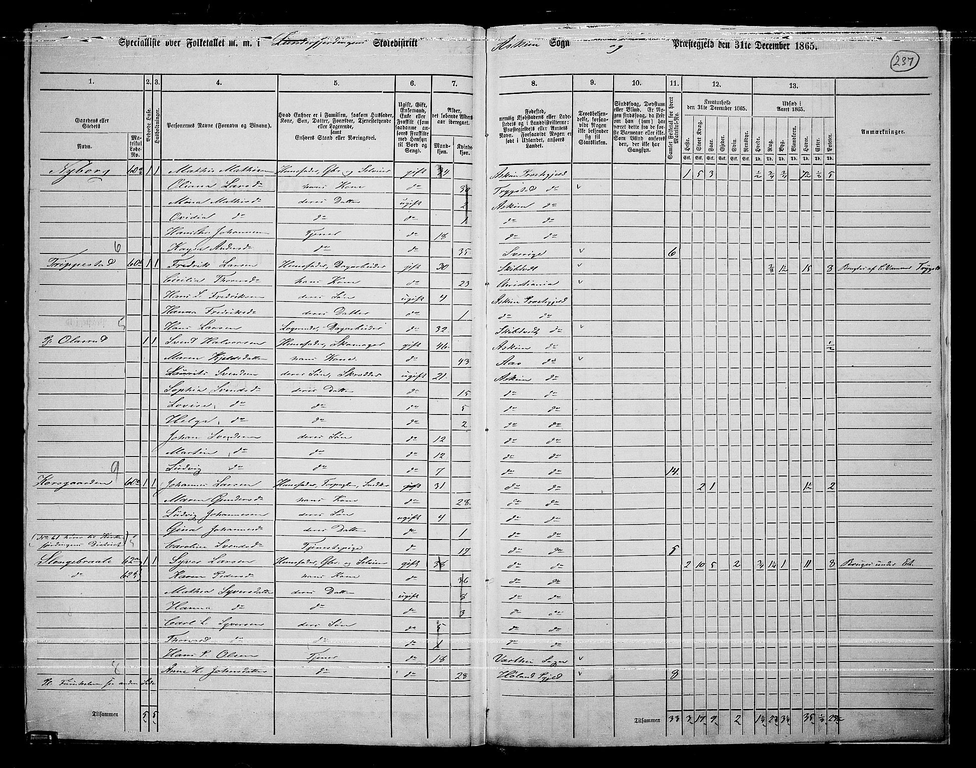 RA, 1865 census for Askim, 1865, p. 94