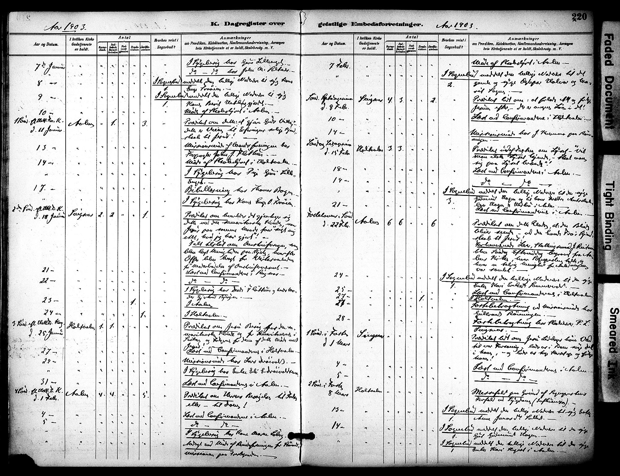 Ministerialprotokoller, klokkerbøker og fødselsregistre - Sør-Trøndelag, AV/SAT-A-1456/686/L0984: Parish register (official) no. 686A02, 1891-1906, p. 220