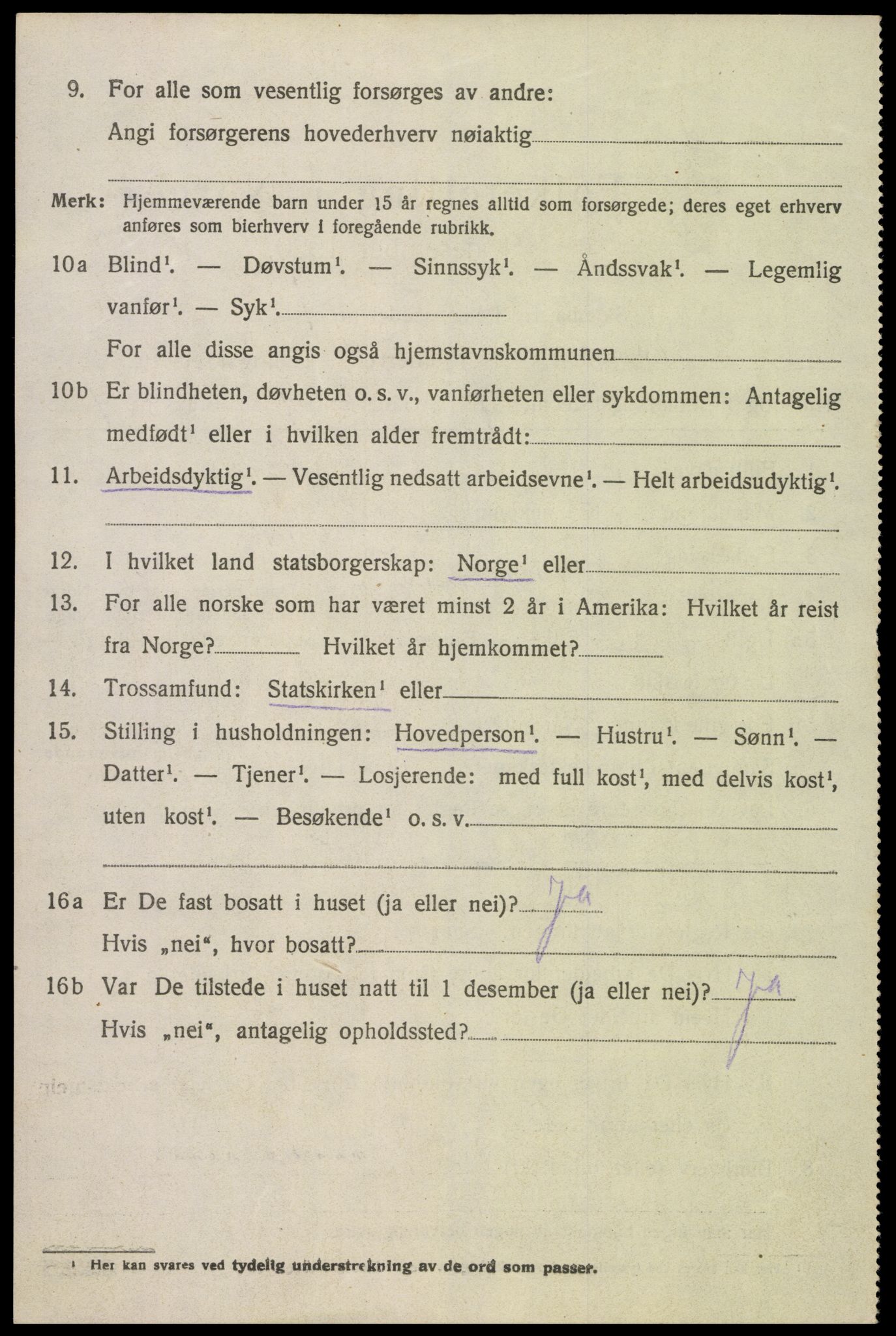 SAK, 1920 census for Hornnes, 1920, p. 804