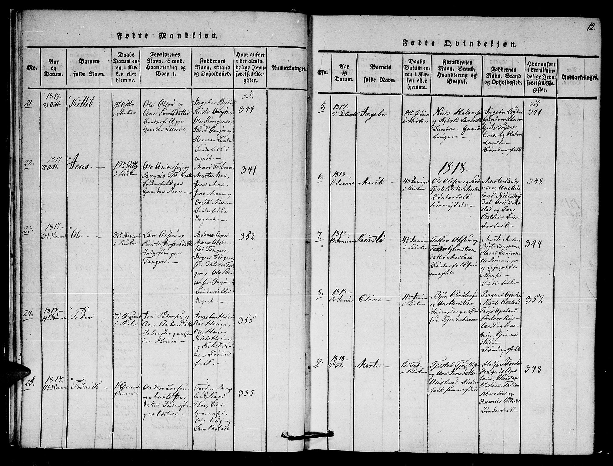 Gjerstad sokneprestkontor, SAK/1111-0014/F/Fa/Faa/L0004: Parish register (official) no. A 4, 1816-1829, p. 12
