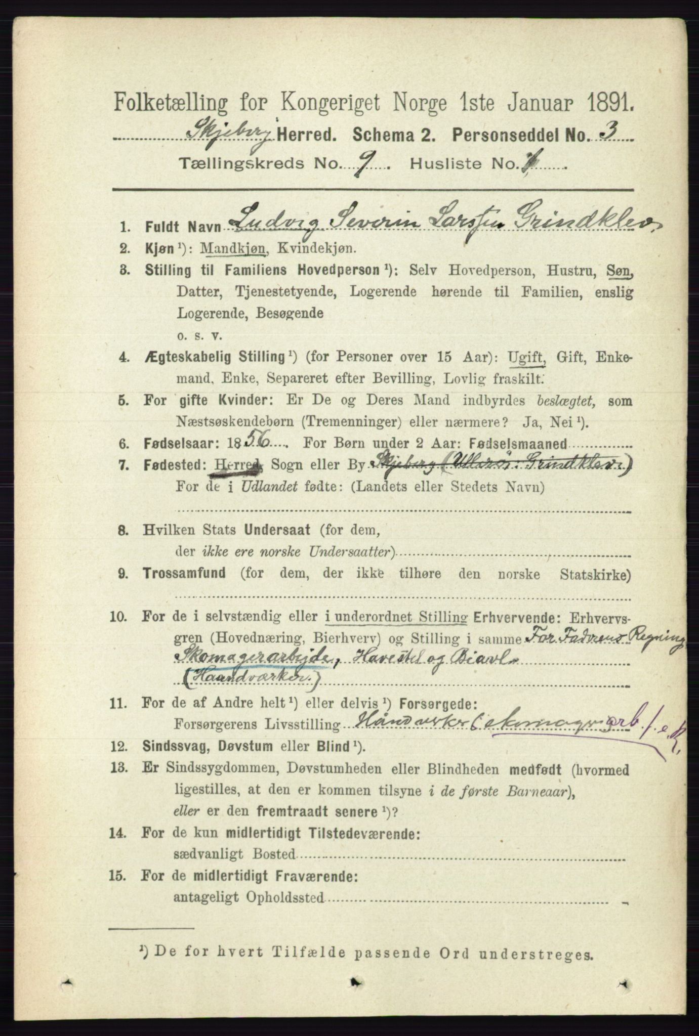 RA, 1891 census for 0115 Skjeberg, 1891, p. 4672