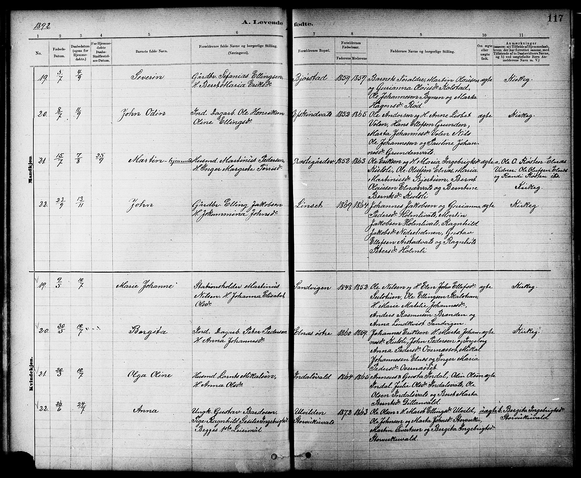 Ministerialprotokoller, klokkerbøker og fødselsregistre - Nord-Trøndelag, AV/SAT-A-1458/724/L0267: Parish register (copy) no. 724C03, 1879-1898, p. 117