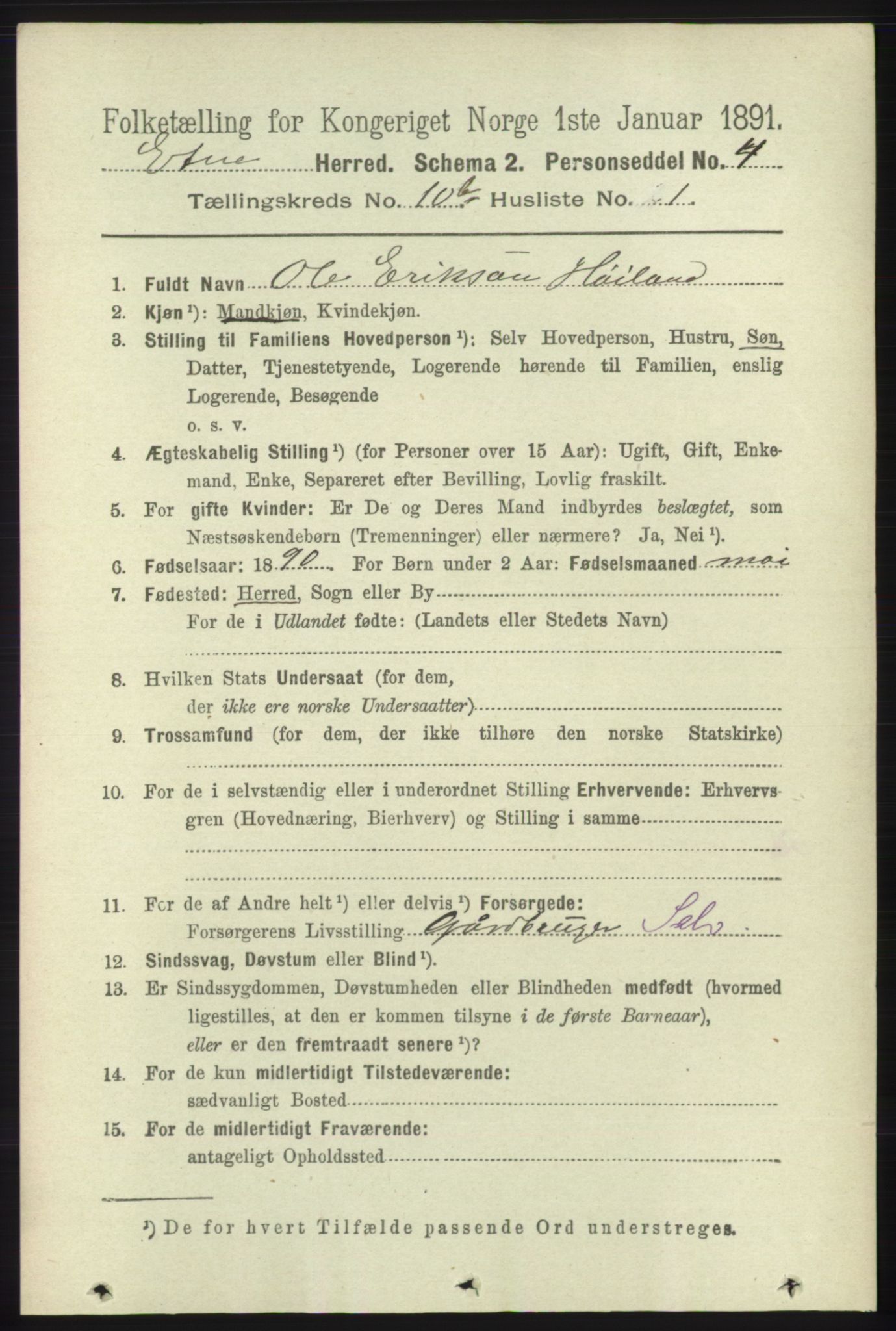 RA, 1891 census for 1211 Etne, 1891, p. 2007