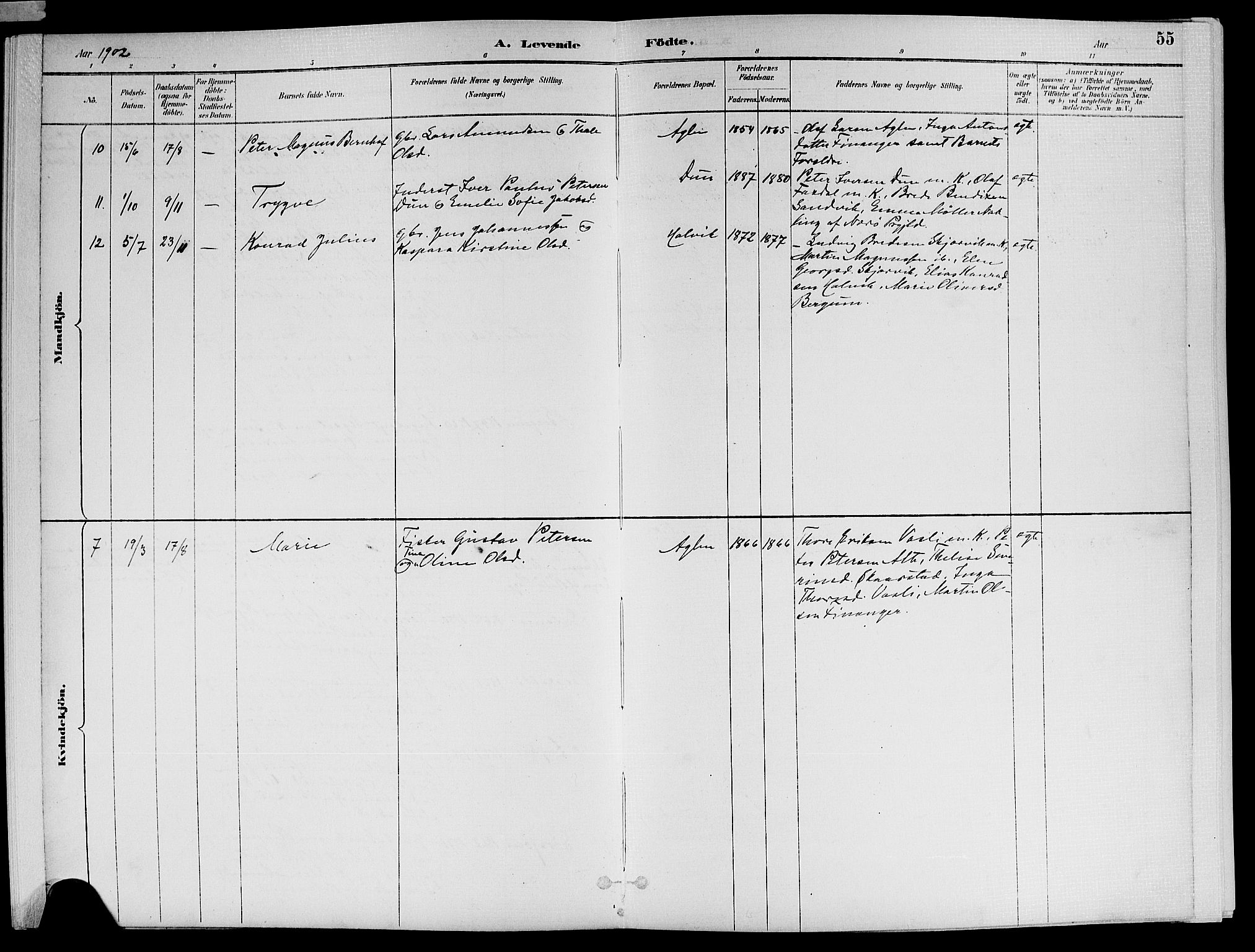 Ministerialprotokoller, klokkerbøker og fødselsregistre - Nord-Trøndelag, AV/SAT-A-1458/773/L0617: Parish register (official) no. 773A08, 1887-1910, p. 55