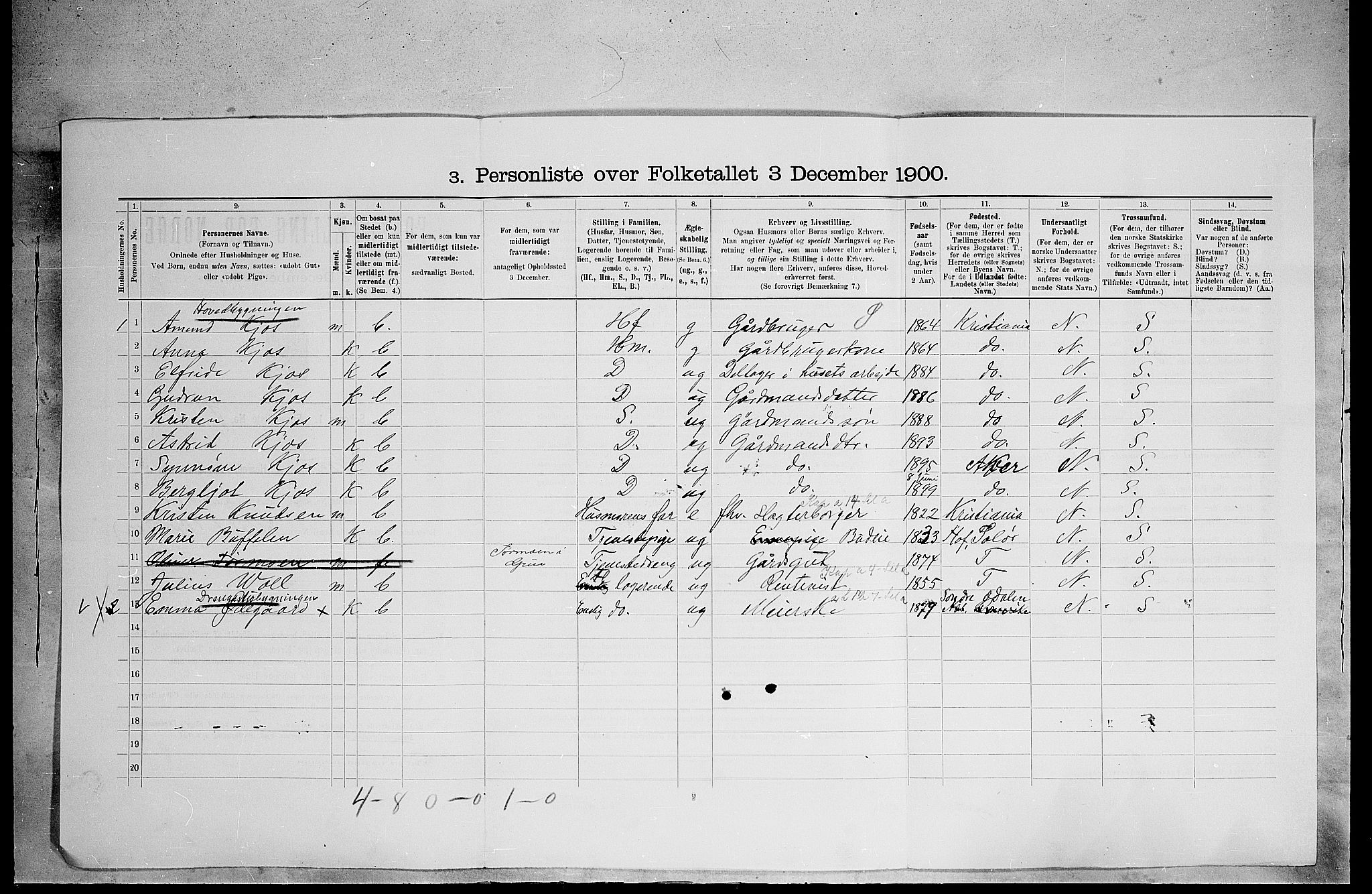 SAH, 1900 census for Grue, 1900, p. 494