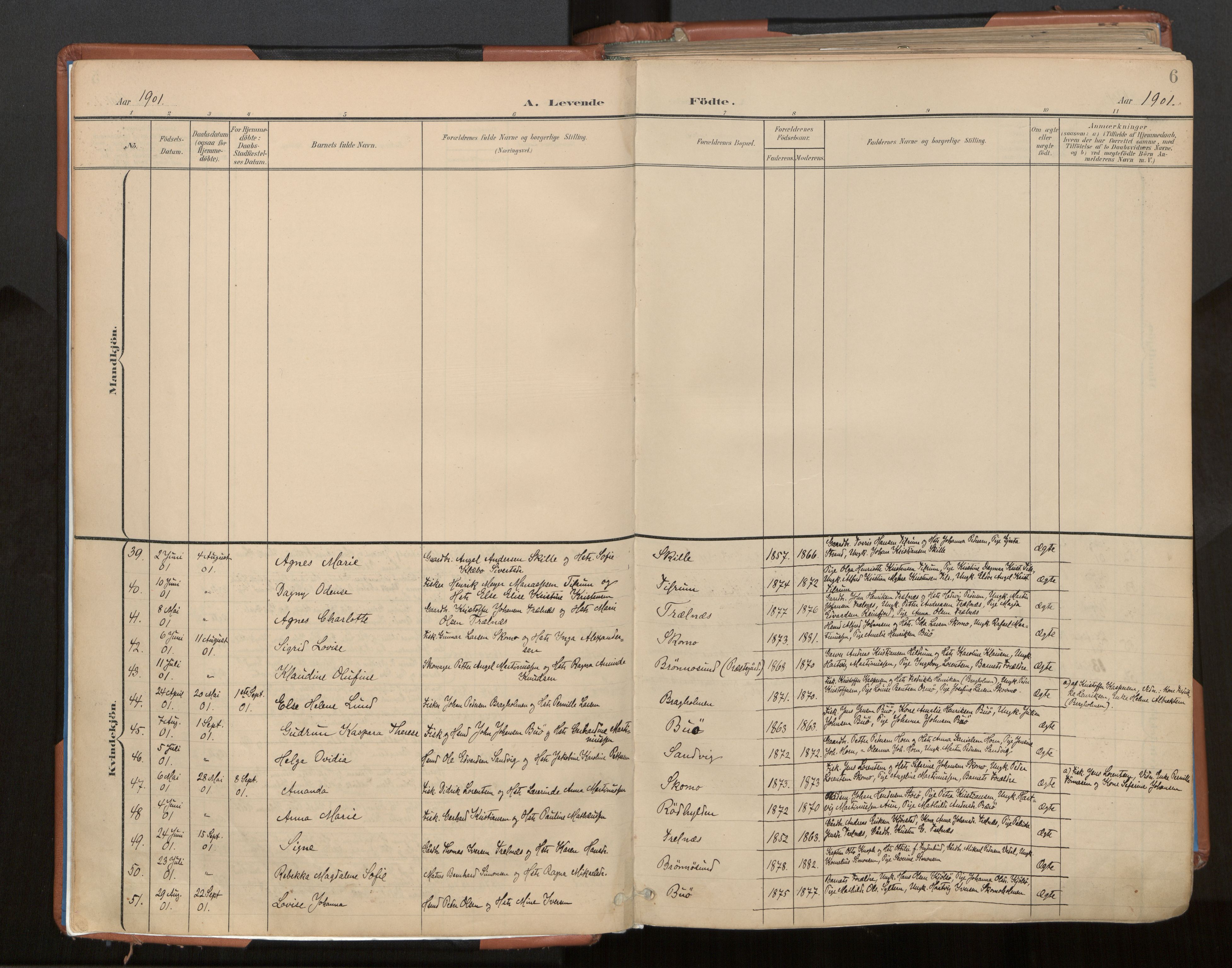 Ministerialprotokoller, klokkerbøker og fødselsregistre - Nordland, AV/SAT-A-1459/813/L0201: Parish register (official) no. 813A11, 1901-1918, p. 6