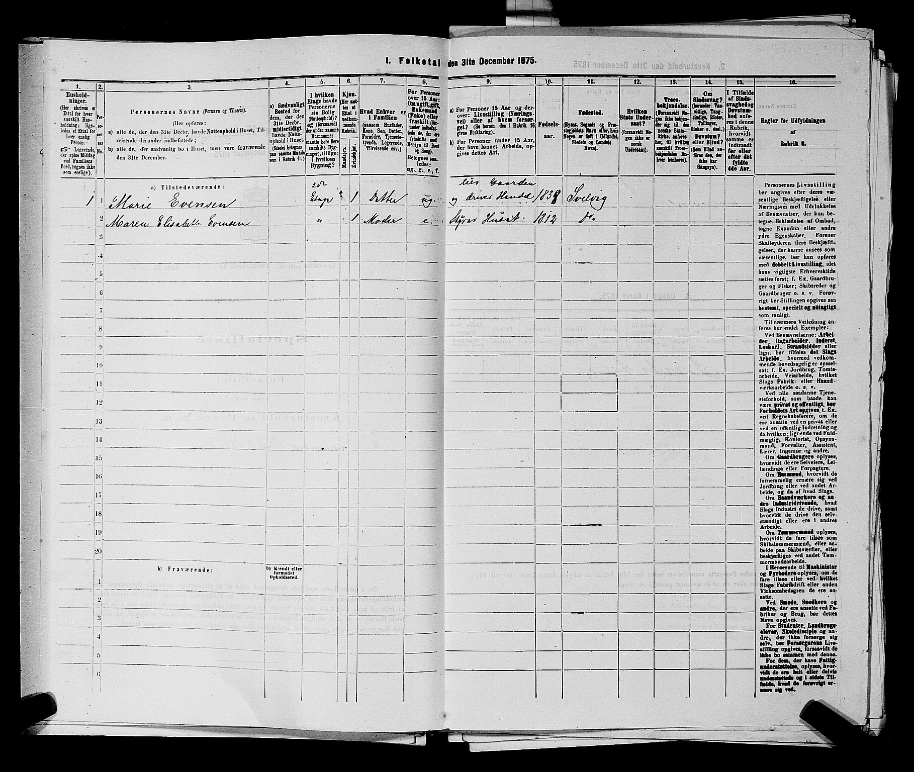 SAKO, 1875 census for 0707P Larvik, 1875, p. 565