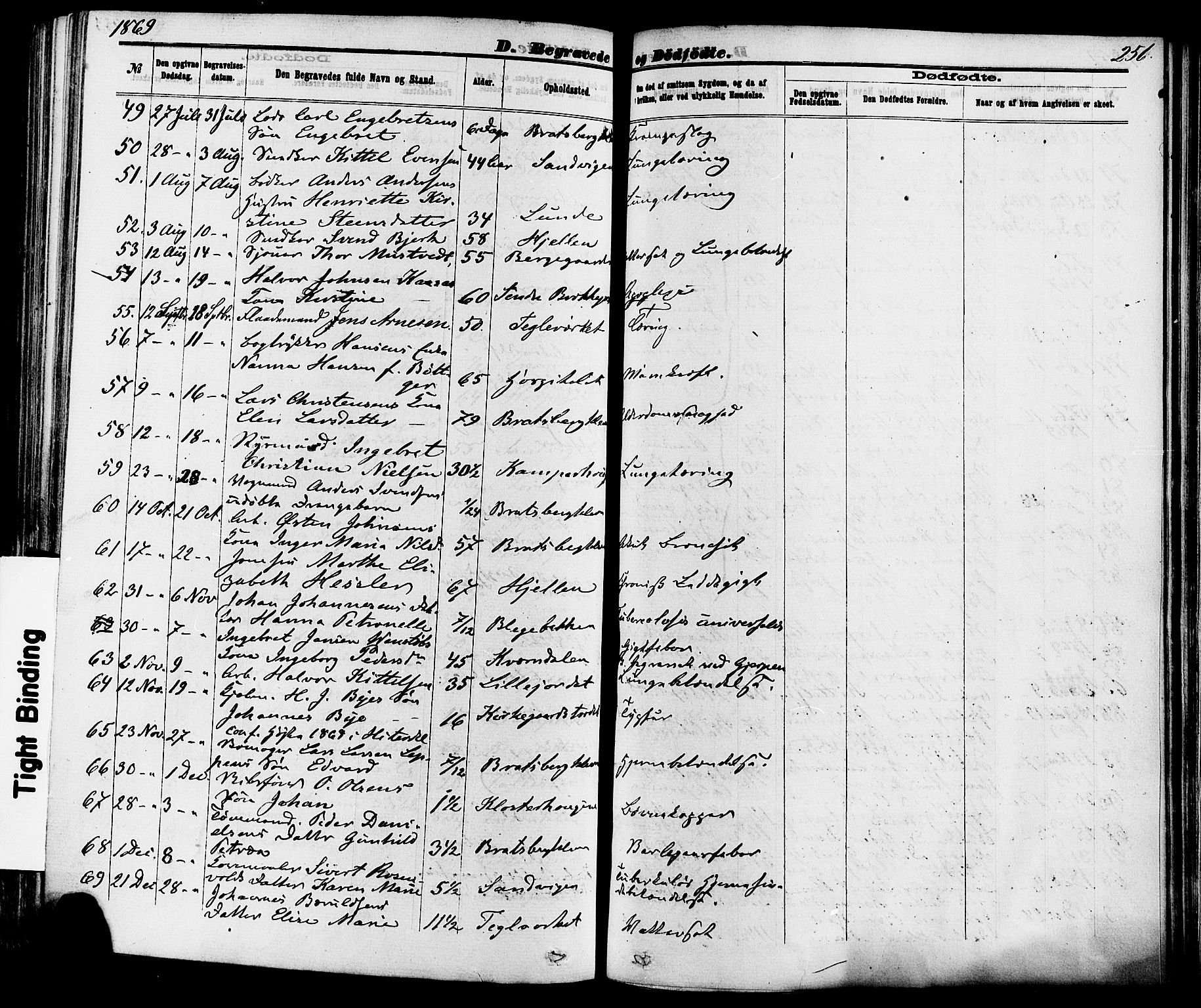 Skien kirkebøker, AV/SAKO-A-302/F/Fa/L0008: Parish register (official) no. 8, 1866-1877, p. 256