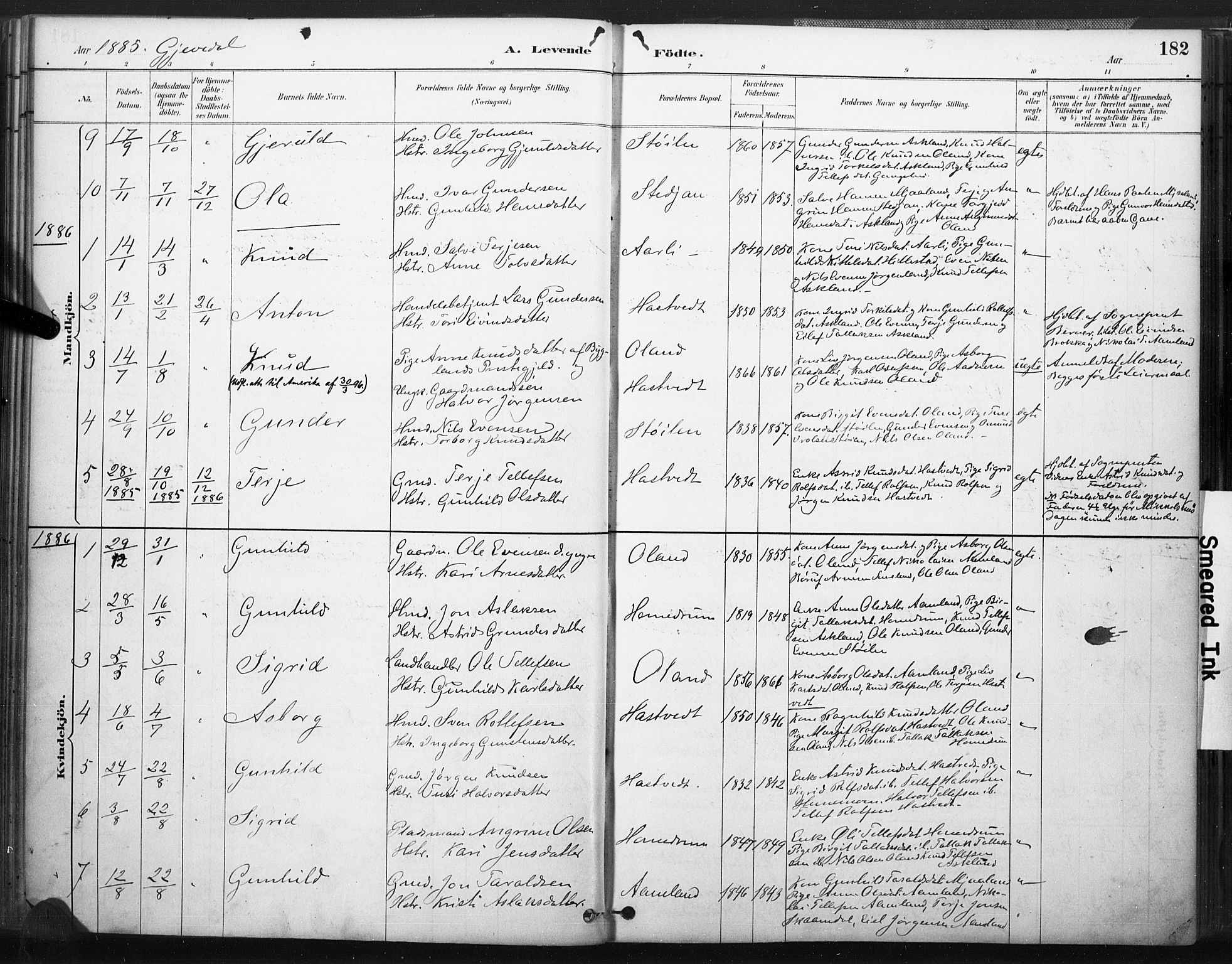 Åmli sokneprestkontor, SAK/1111-0050/F/Fa/Fac/L0010: Parish register (official) no. A 10 /2, 1885-1899, p. 182