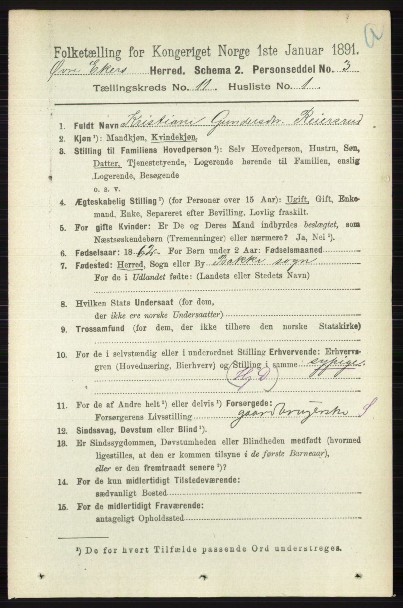 RA, 1891 census for 0624 Øvre Eiker, 1891, p. 4594