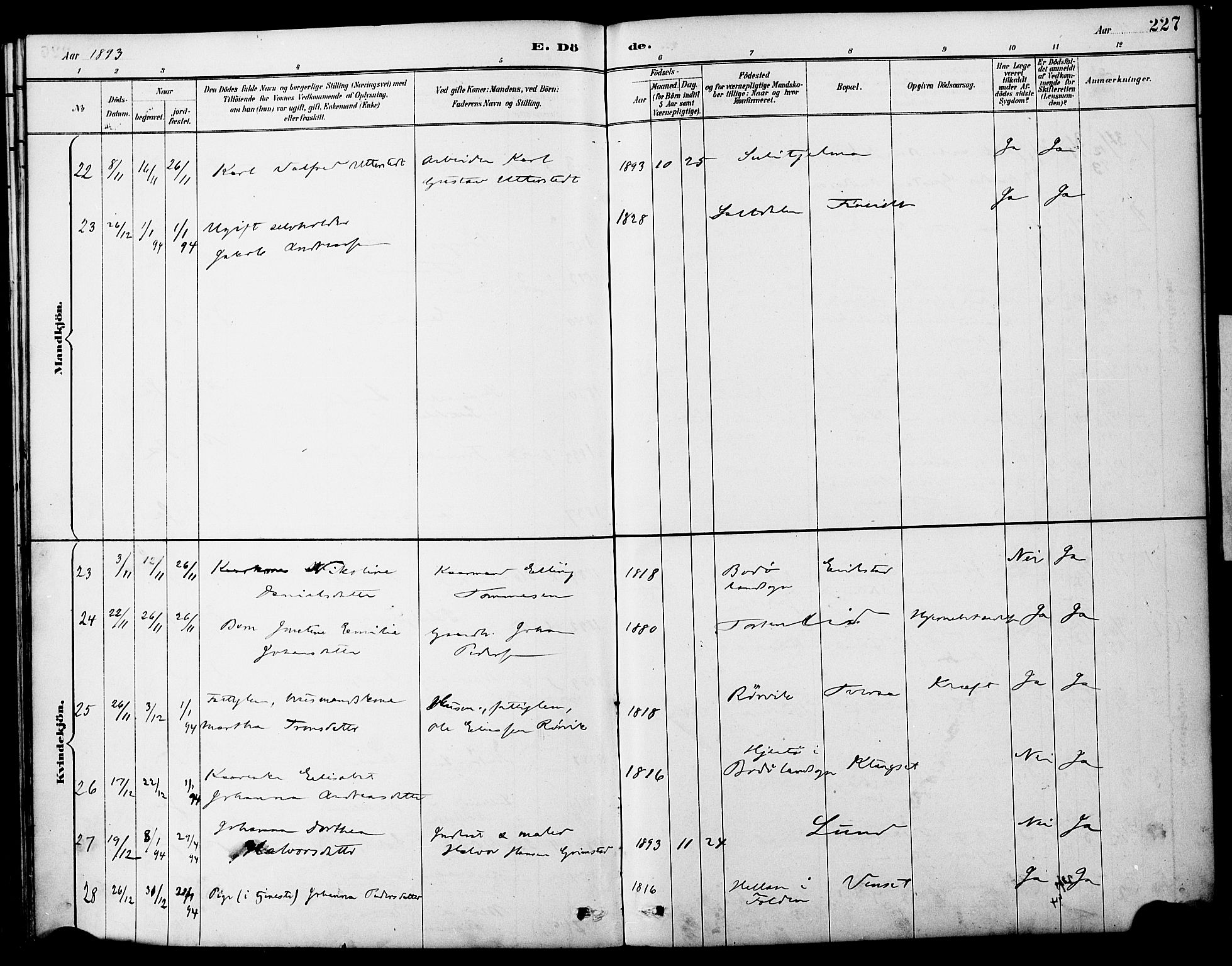 Ministerialprotokoller, klokkerbøker og fødselsregistre - Nordland, AV/SAT-A-1459/849/L0690: Parish register (official) no. 849A02, 1890-1897, p. 227