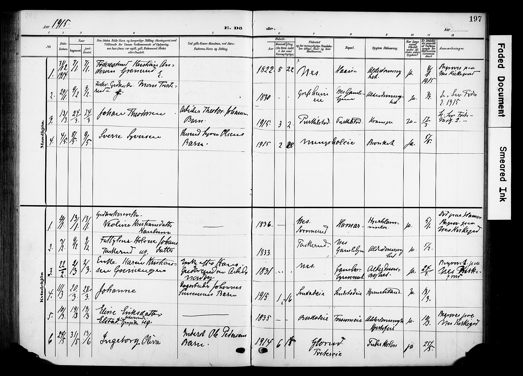 Nes prestekontor, Hedmark, SAH/PREST-020/K/Ka/L0013: Parish register (official) no. 13, 1906-1924, p. 197