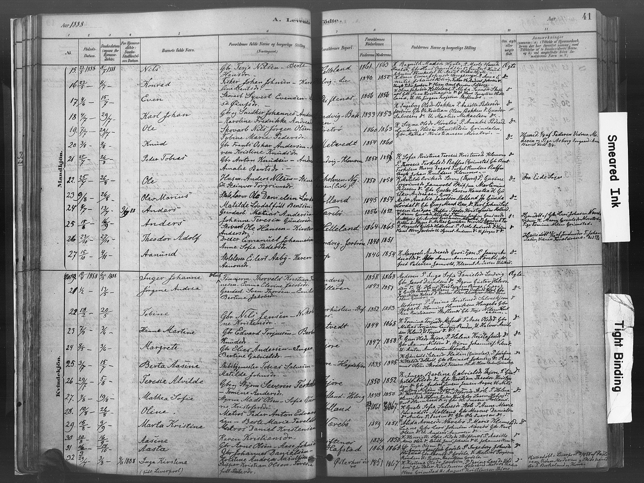 Hommedal sokneprestkontor, AV/SAK-1111-0023/F/Fa/Fab/L0006: Parish register (official) no. A 6, 1878-1897, p. 41