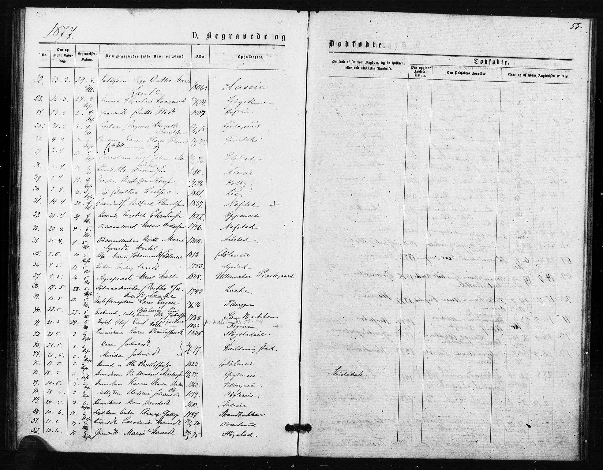 Ullensaker prestekontor Kirkebøker, SAO/A-10236a/F/Fa/L0018: Parish register (official) no. I 18, 1876-1877, p. 55