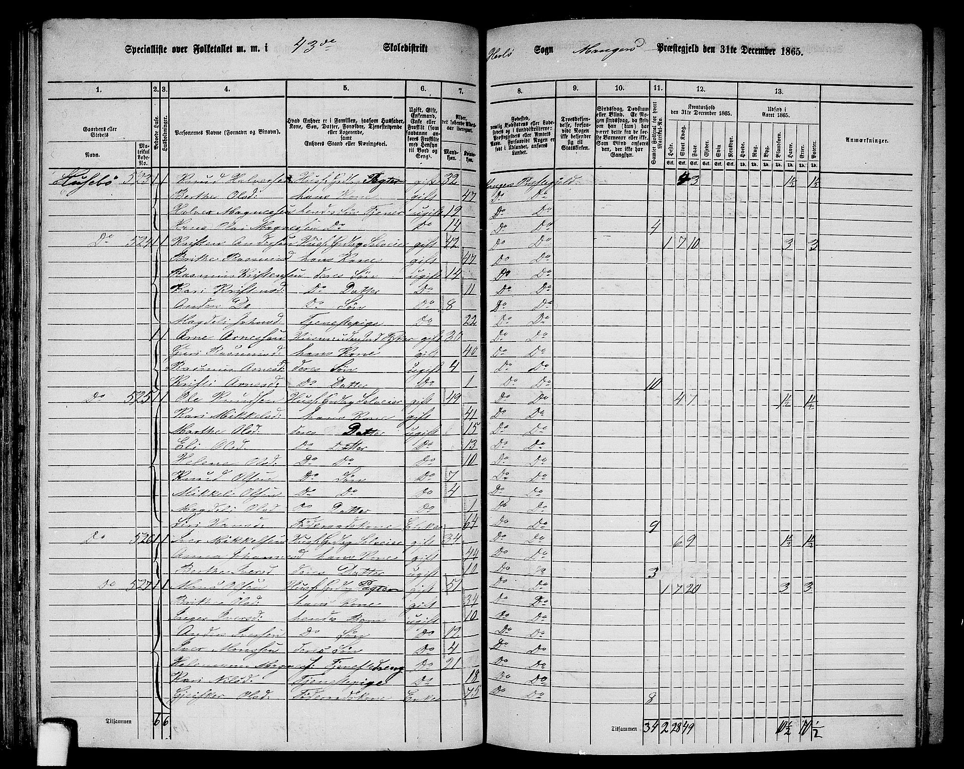 RA, 1865 census for Manger, 1865, p. 141