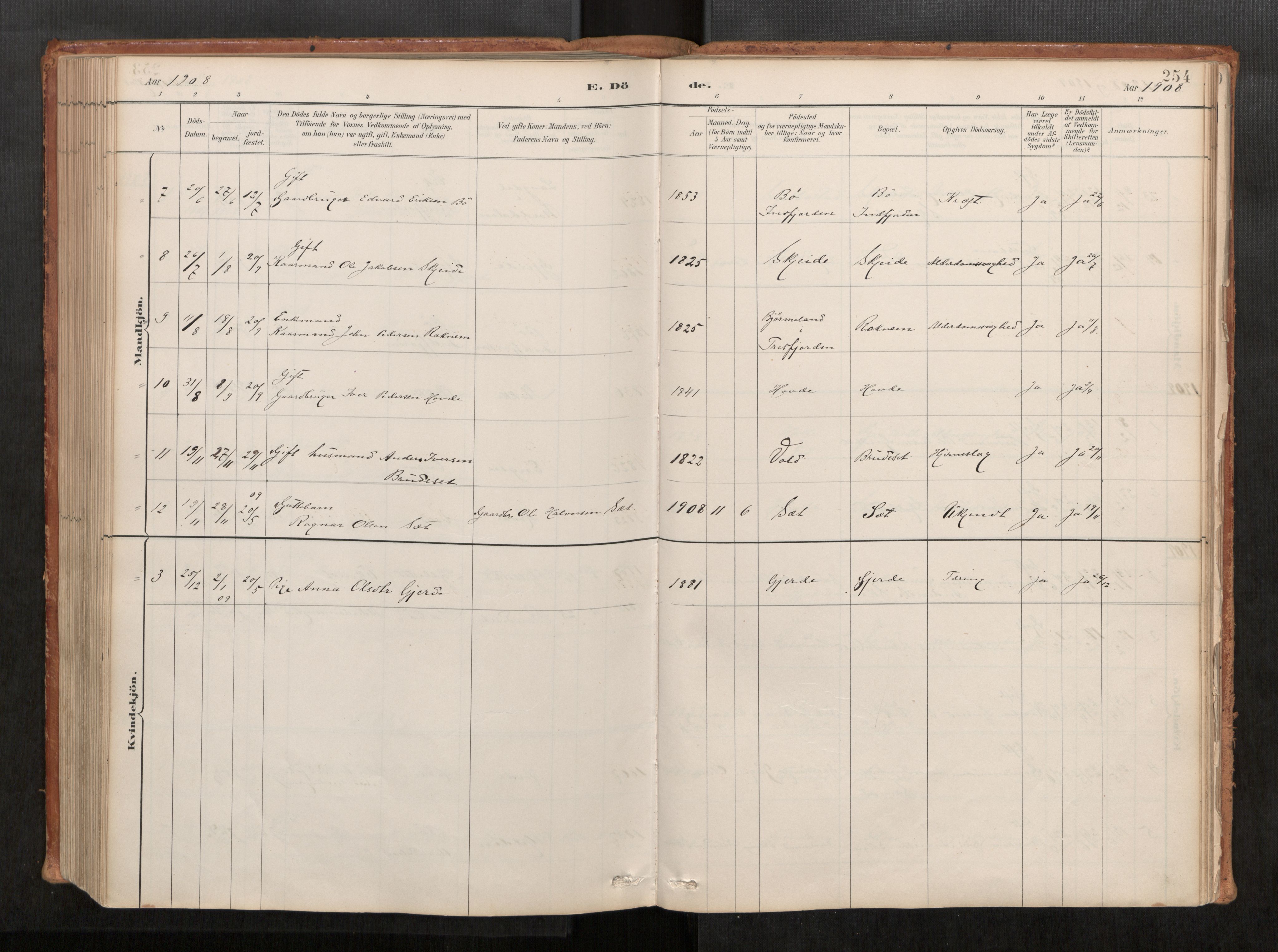 Ministerialprotokoller, klokkerbøker og fødselsregistre - Møre og Romsdal, SAT/A-1454/543/L0568: Parish register (official) no. 543A03, 1885-1915, p. 254