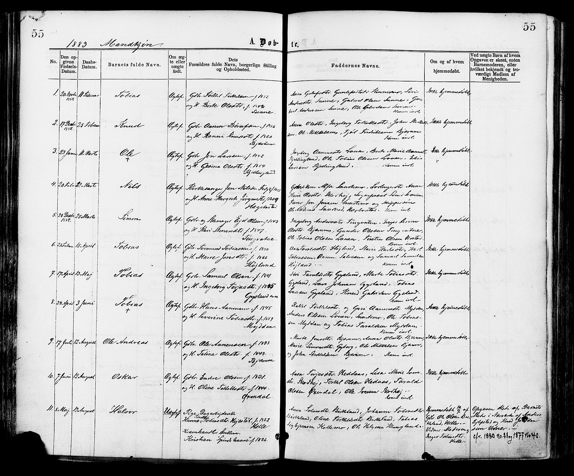 Hægebostad sokneprestkontor, AV/SAK-1111-0024/F/Fa/Faa/L0005: Parish register (official) no. A 5, 1864-1886, p. 55