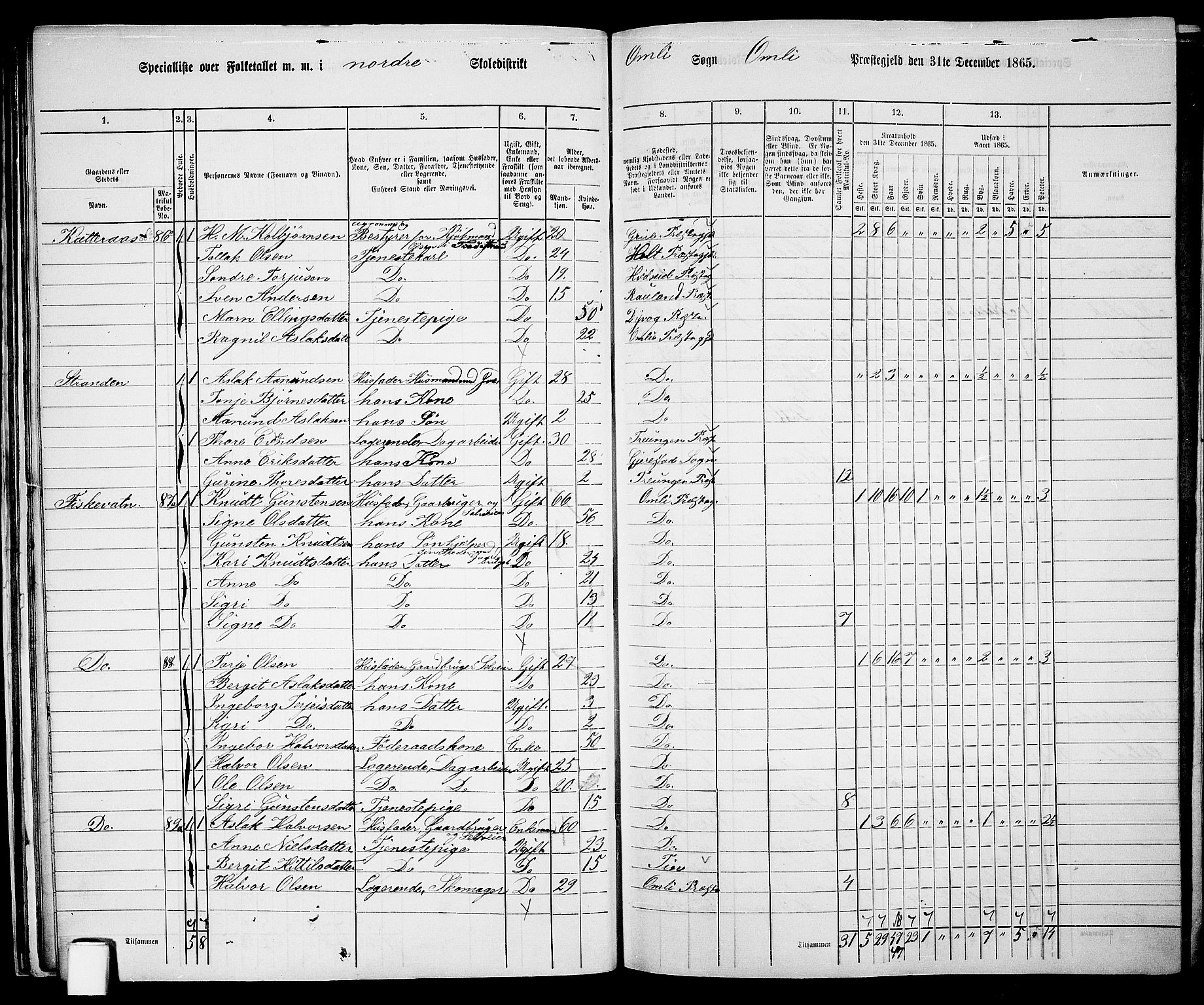 RA, 1865 census for Åmli, 1865, p. 33