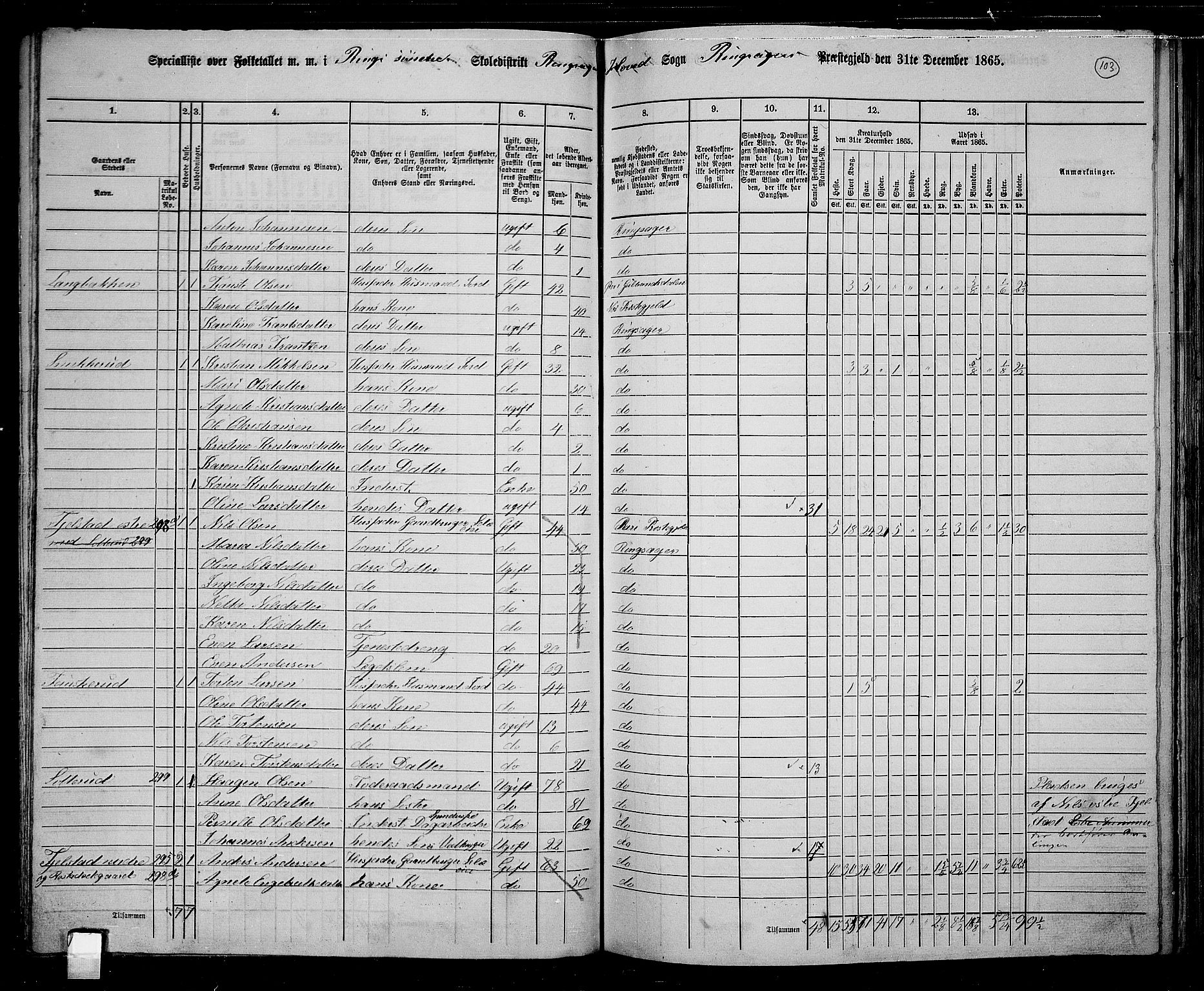 RA, 1865 census for Ringsaker, 1865, p. 352