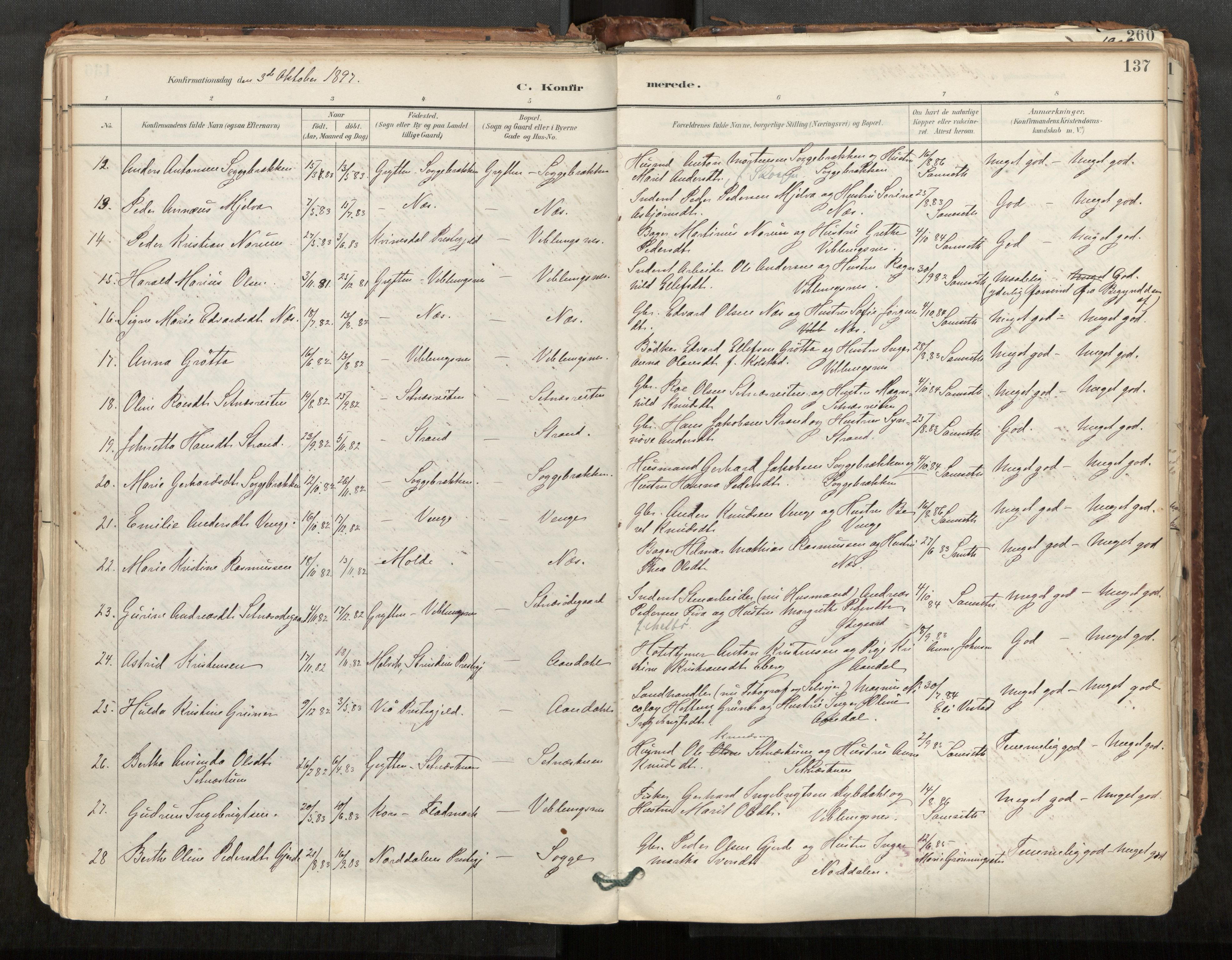 Ministerialprotokoller, klokkerbøker og fødselsregistre - Møre og Romsdal, AV/SAT-A-1454/544/L0585: Parish register (official) no. 544A06, 1887-1924, p. 137