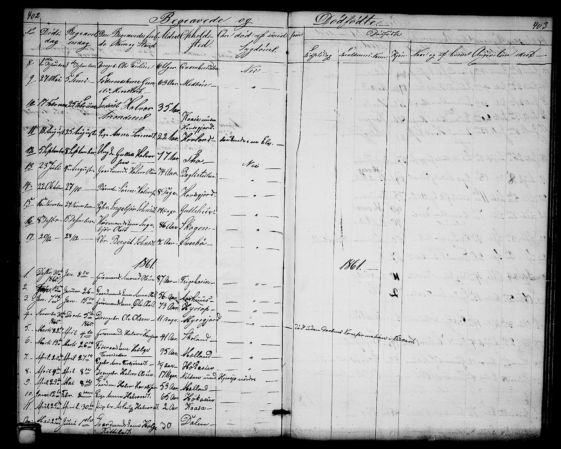 Hjartdal kirkebøker, SAKO/A-270/G/Ga/L0002: Parish register (copy) no. I 2, 1854-1888, p. 402-403