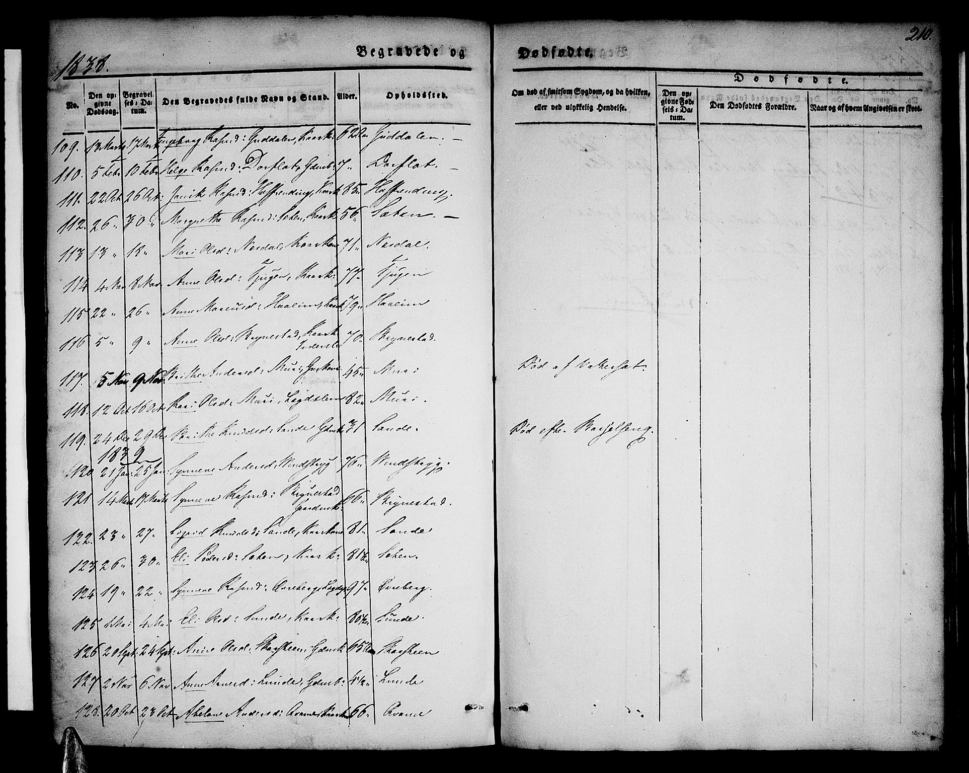 Stryn Sokneprestembete, AV/SAB-A-82501: Parish register (official) no. A 1, 1832-1845, p. 210