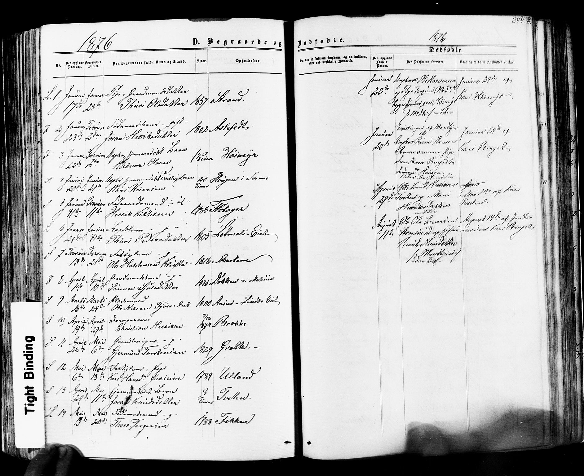 Flesberg kirkebøker, SAKO/A-18/F/Fa/L0007: Parish register (official) no. I 7, 1861-1878, p. 344