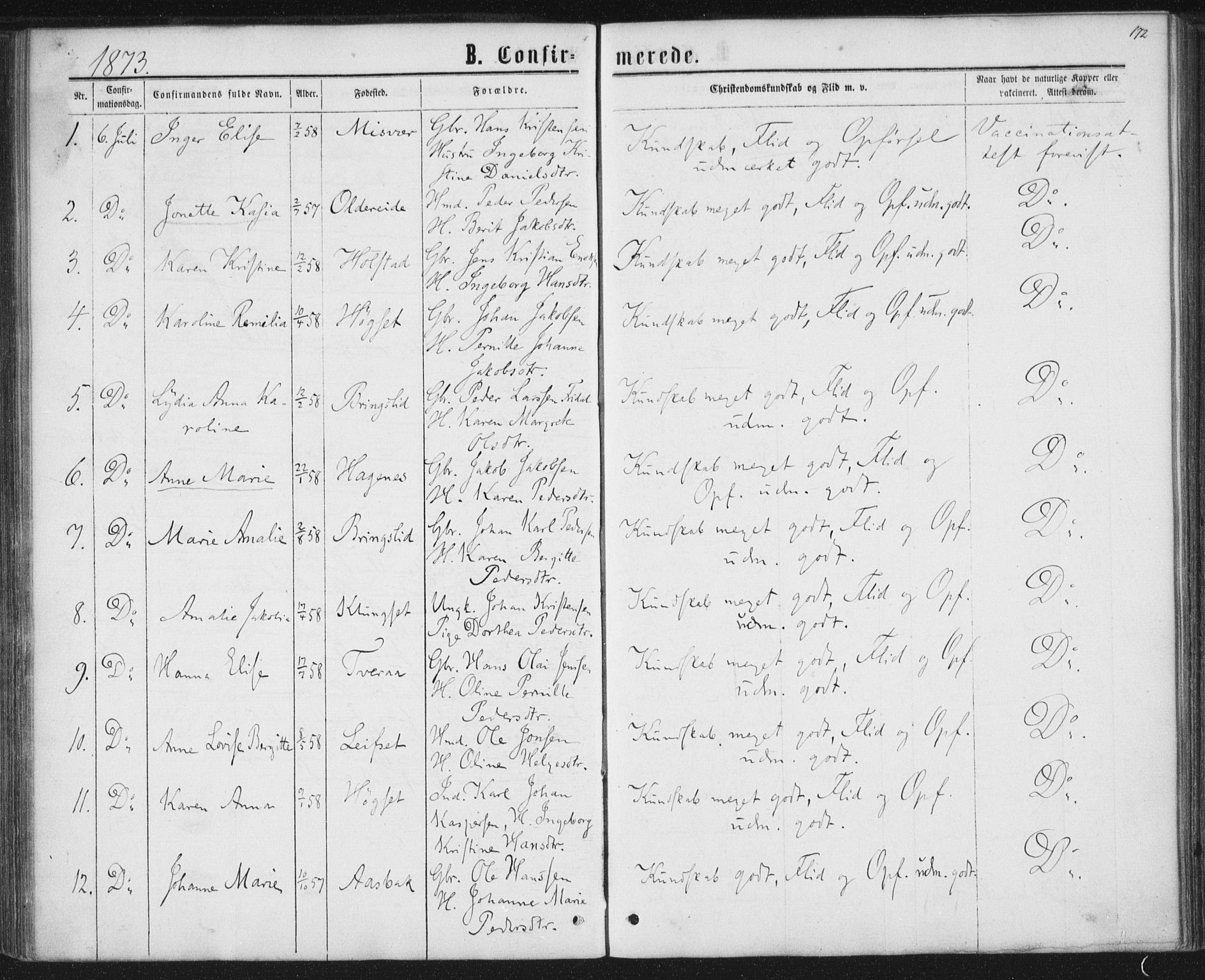 Ministerialprotokoller, klokkerbøker og fødselsregistre - Nordland, AV/SAT-A-1459/852/L0739: Parish register (official) no. 852A09, 1866-1877, p. 172