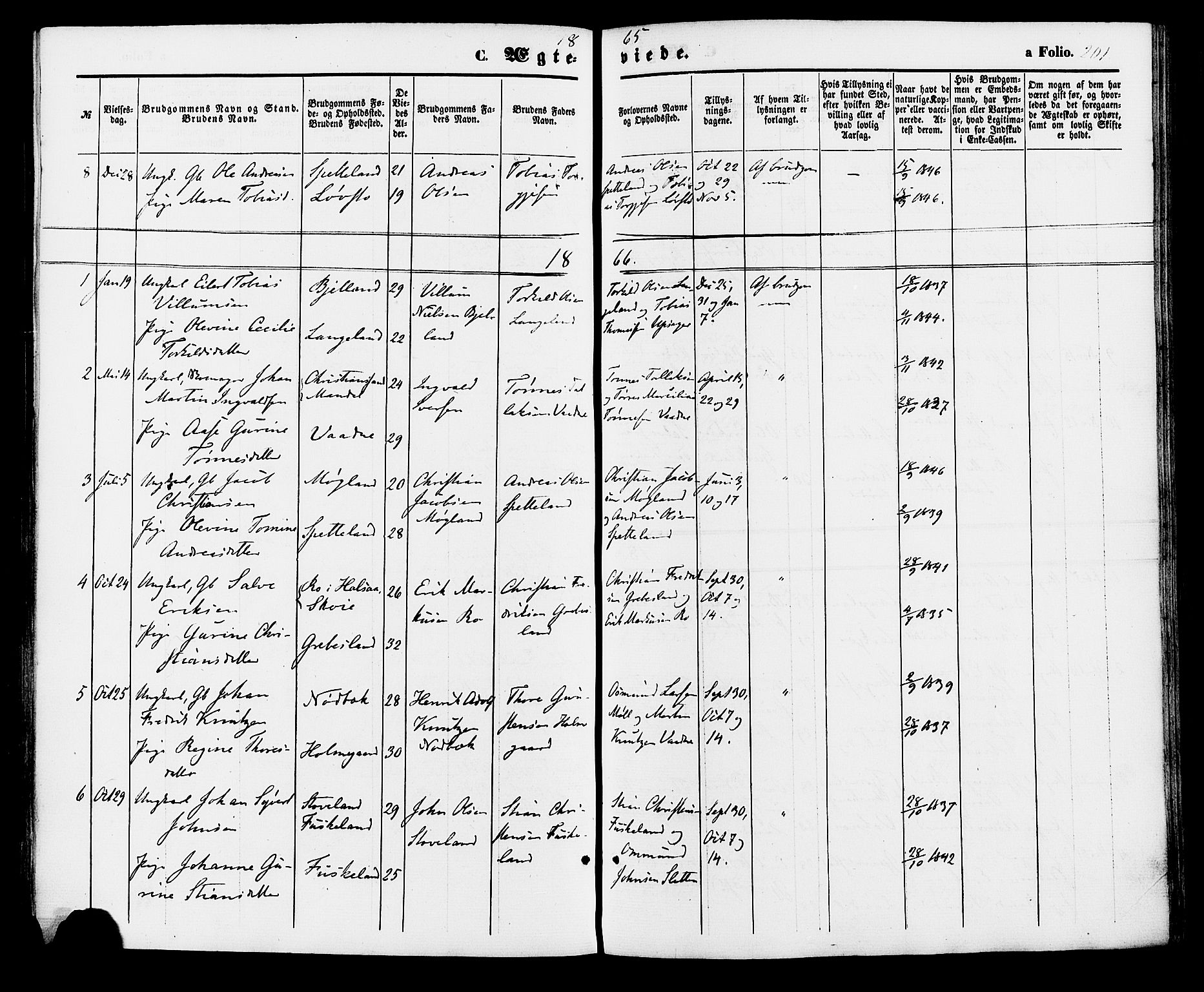 Holum sokneprestkontor, SAK/1111-0022/F/Fa/Faa/L0006: Parish register (official) no. A 6, 1865-1883, p. 201